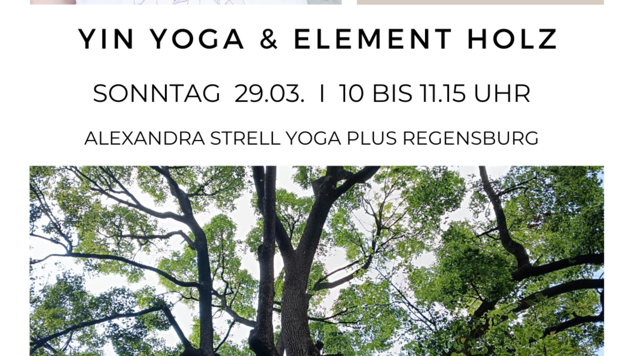 Yin Yoga Element Holz