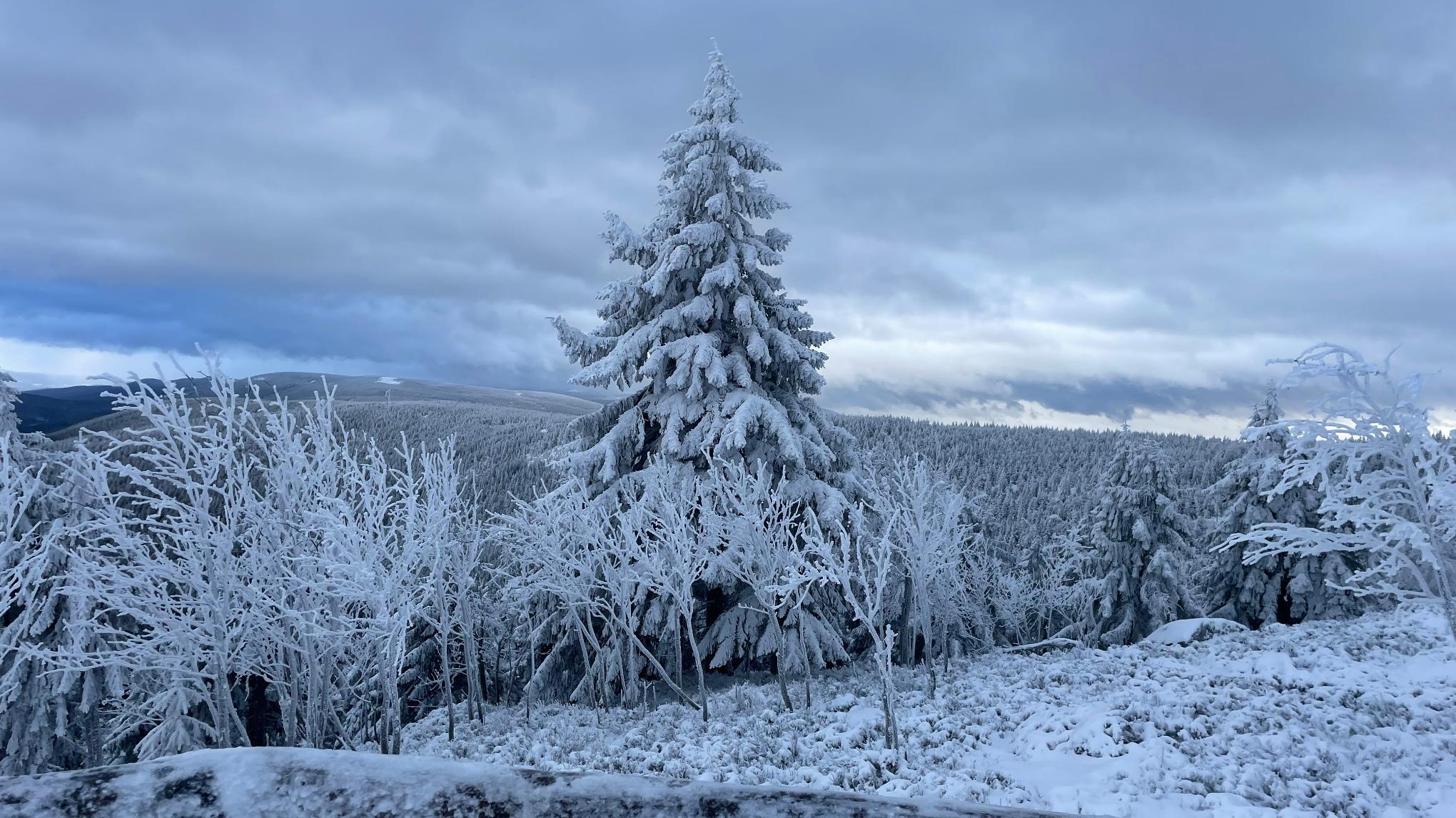 Yin Yoga – Zeit der inneren Ruhe