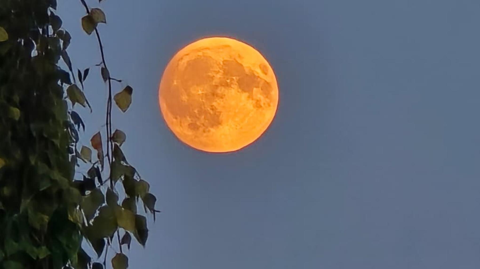 Soul Sunday "Vollmond" -YogaFlow, Meditation +Journaling