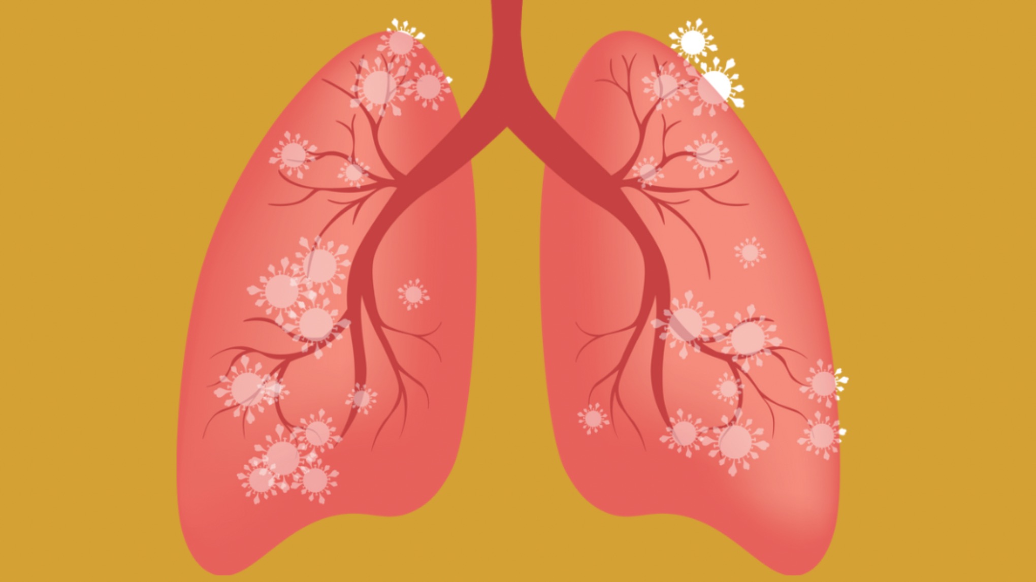 Workshop: Andningens kraft - Pranayama i teori & praktik