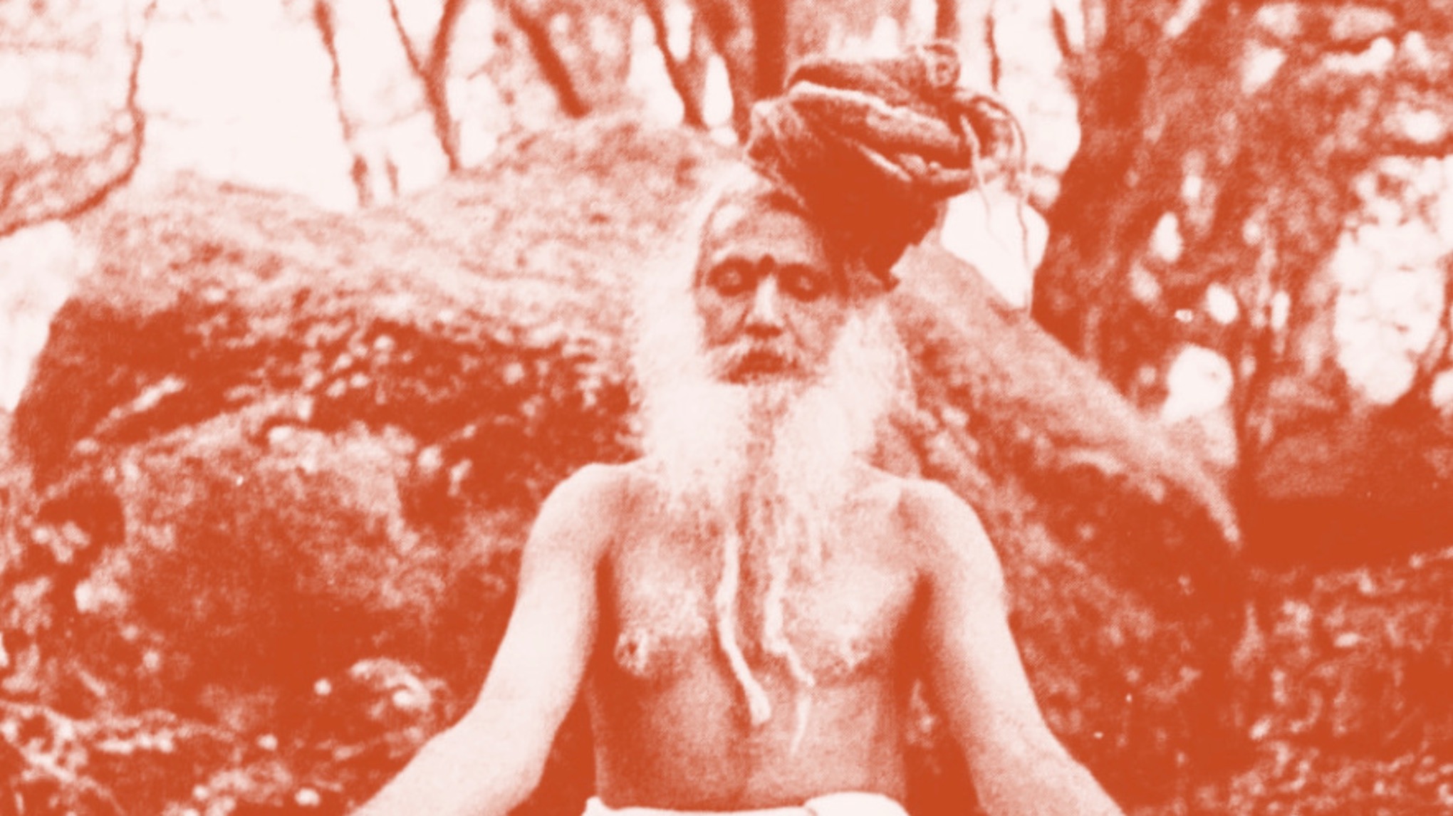 hatha yoga • cours grand format