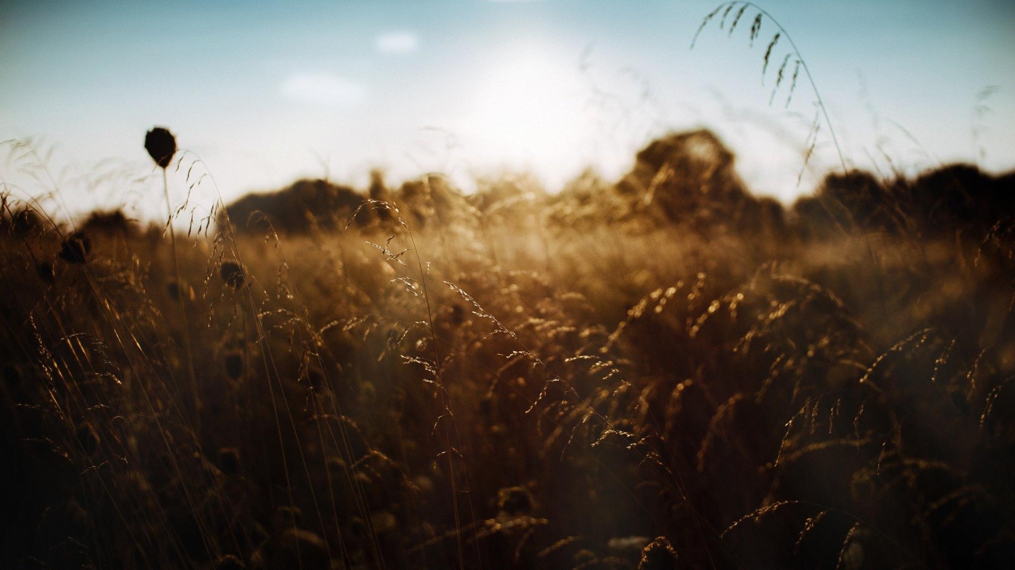 Bevallingstrauma cursus