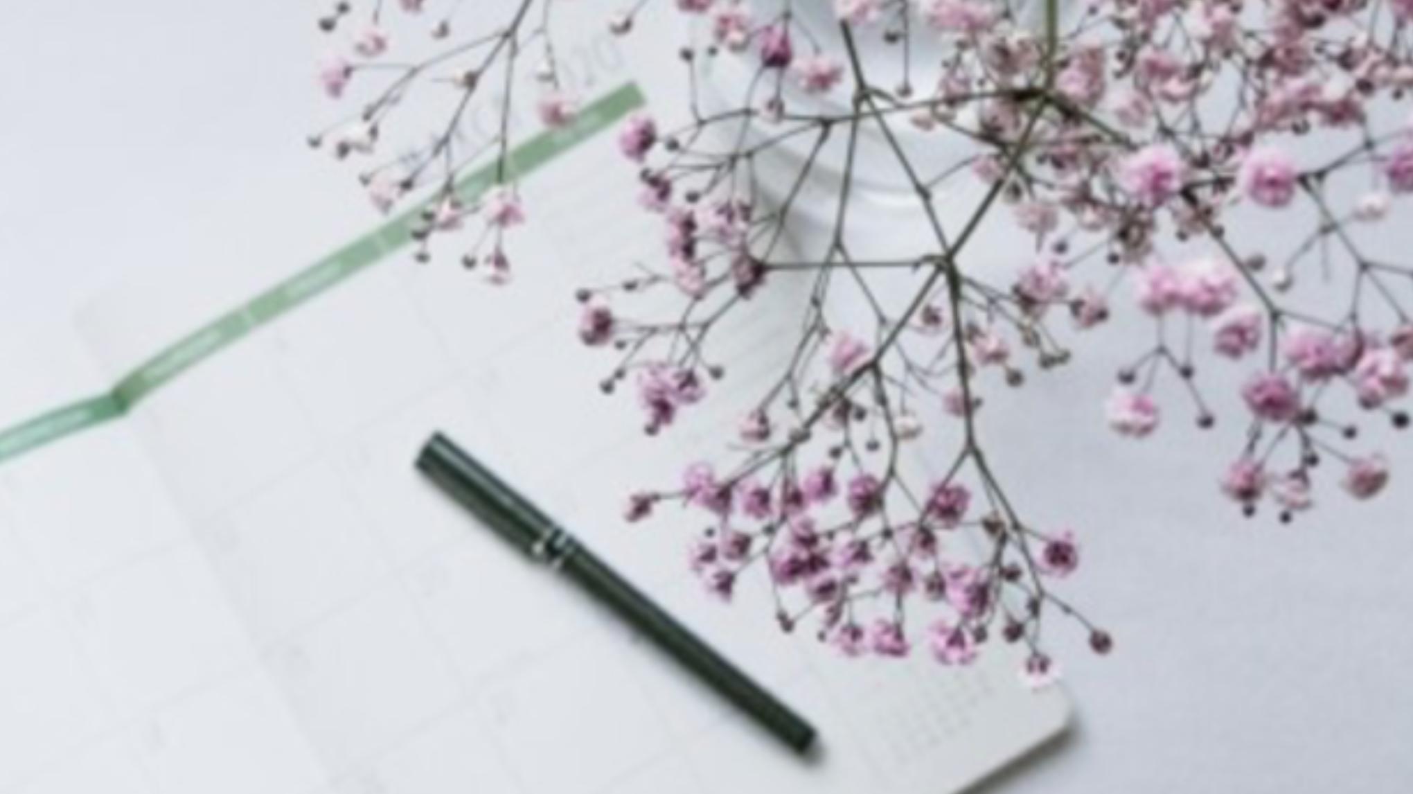 Familie Opstelling met Wanda /inschrijven via site/klik op de foto