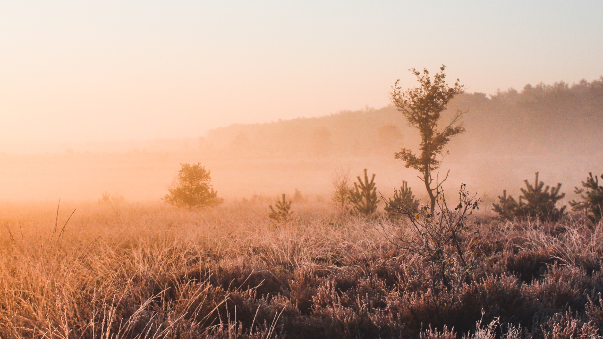 Ostara Yin Yoga & Klank