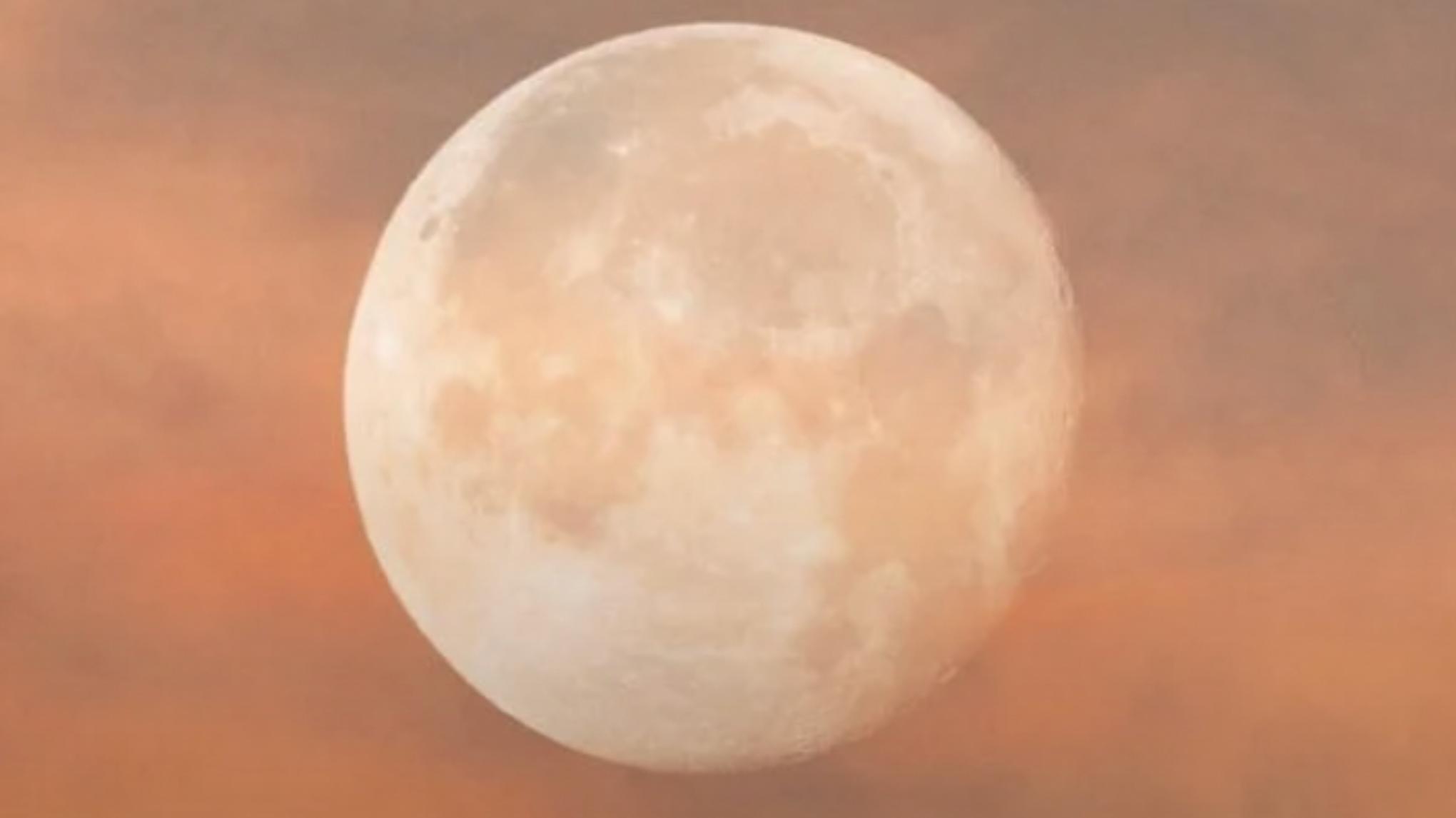 UNDER THE MOON 🌙 - YOGA & BAIN SONORE