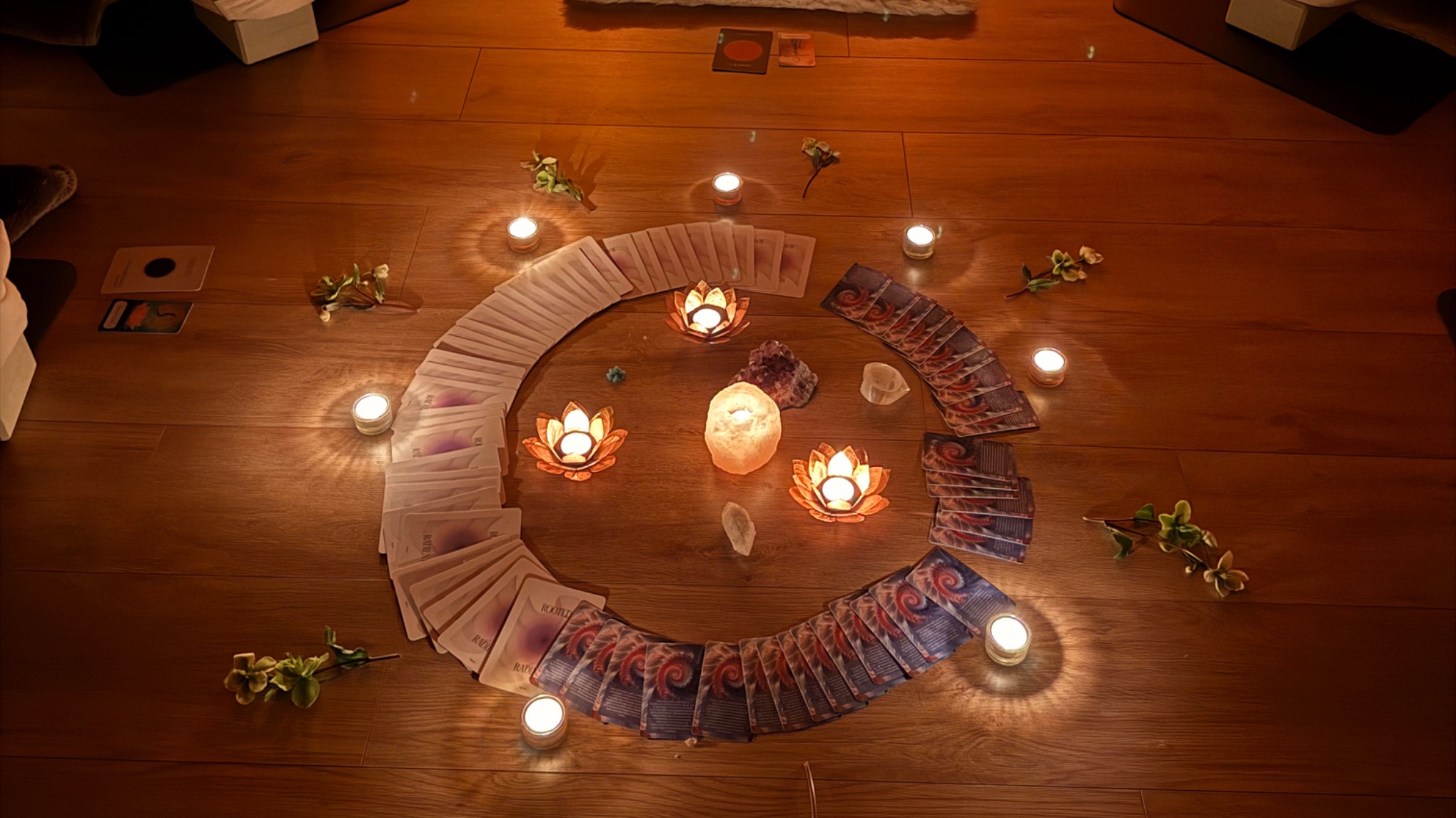 Cacao & De reis van de vrouw