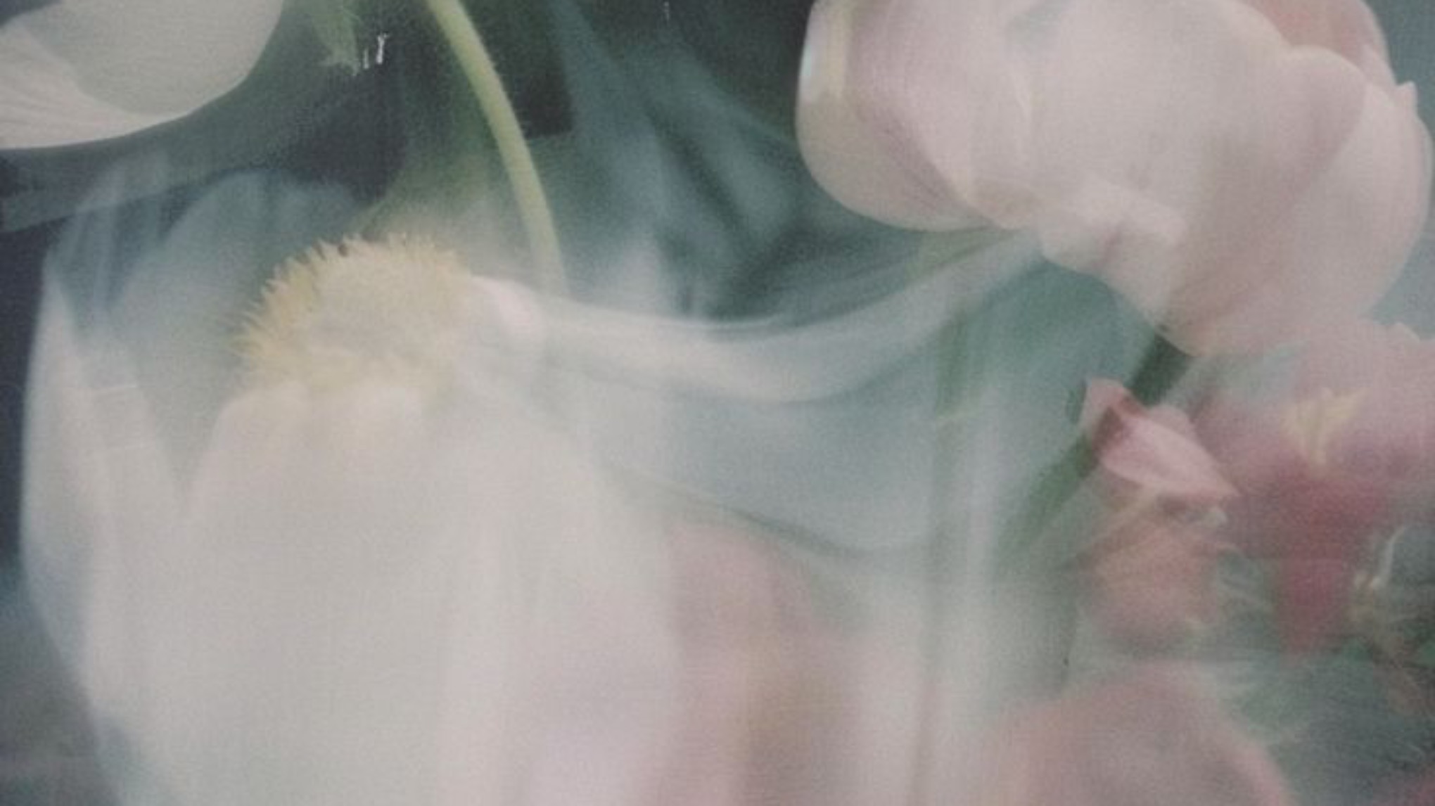 "Ungezähmt in den Frühling" Kundalini Yoga Workshop für Frauen