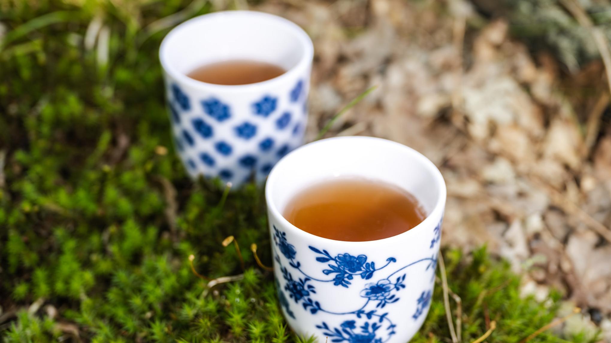 Vrijblijvend Inspiratie Gesprek