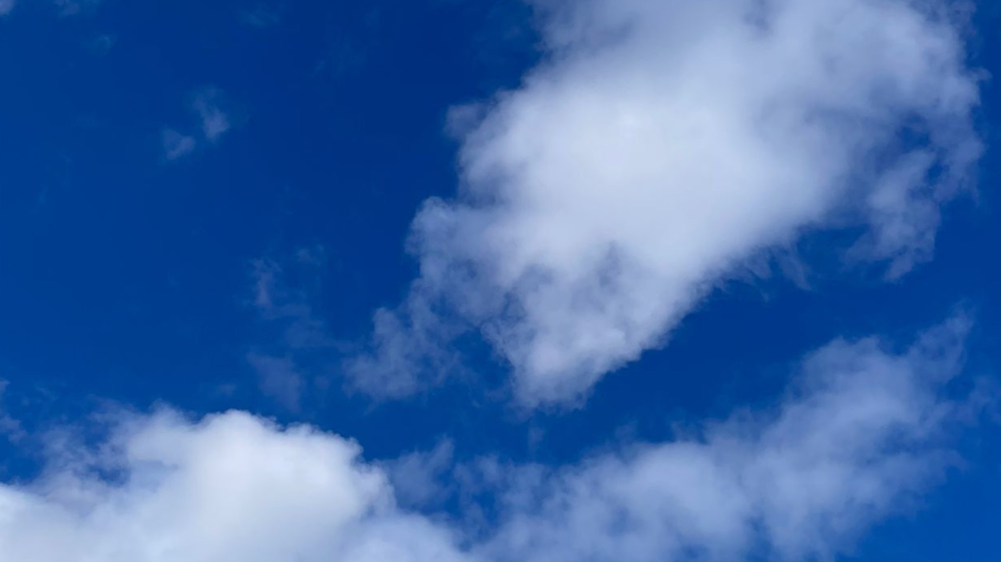 🌙Yoga Nidra Frühlings-Special am Sonntag