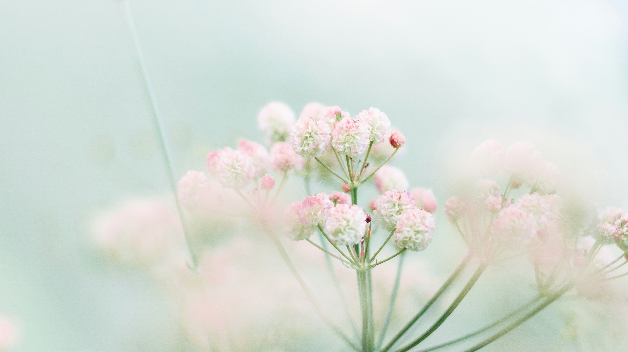 Atelier Mobilité & Yin avec Margot 🌱 Le corps en bourgeon