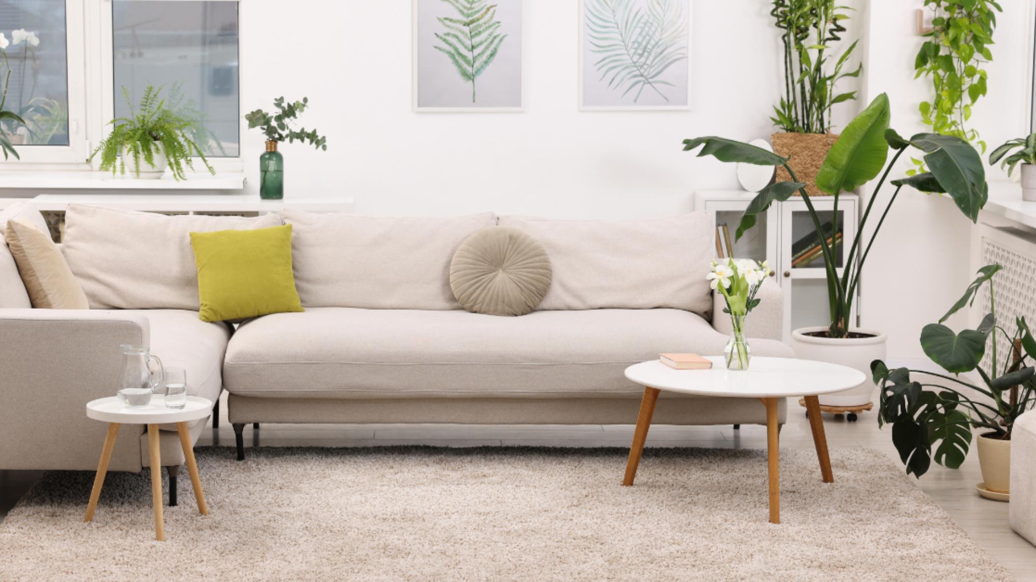 Feng Shui Lente Workshop - in harmonie met je leefruimte