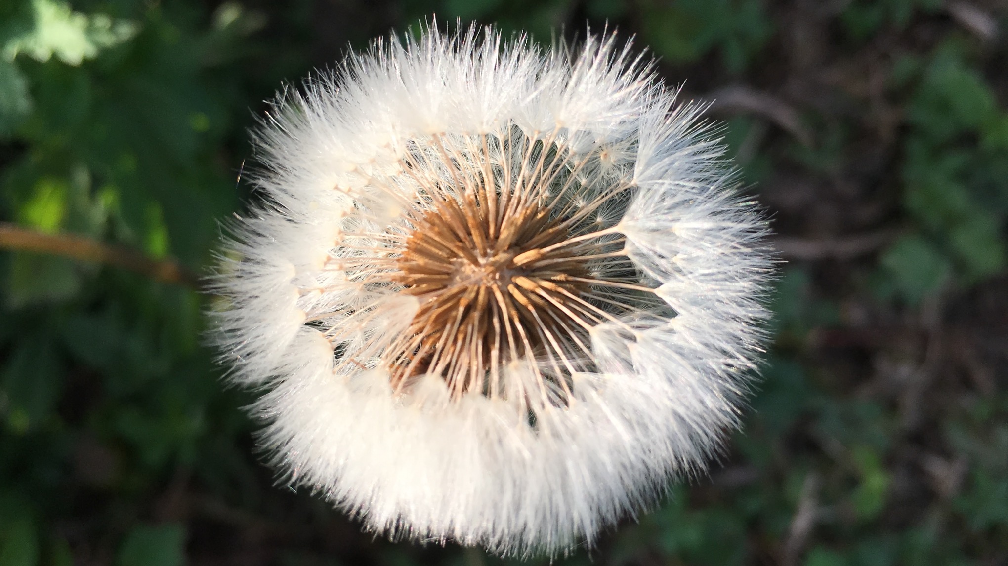Le yoga et la méditation, pratiques de relation