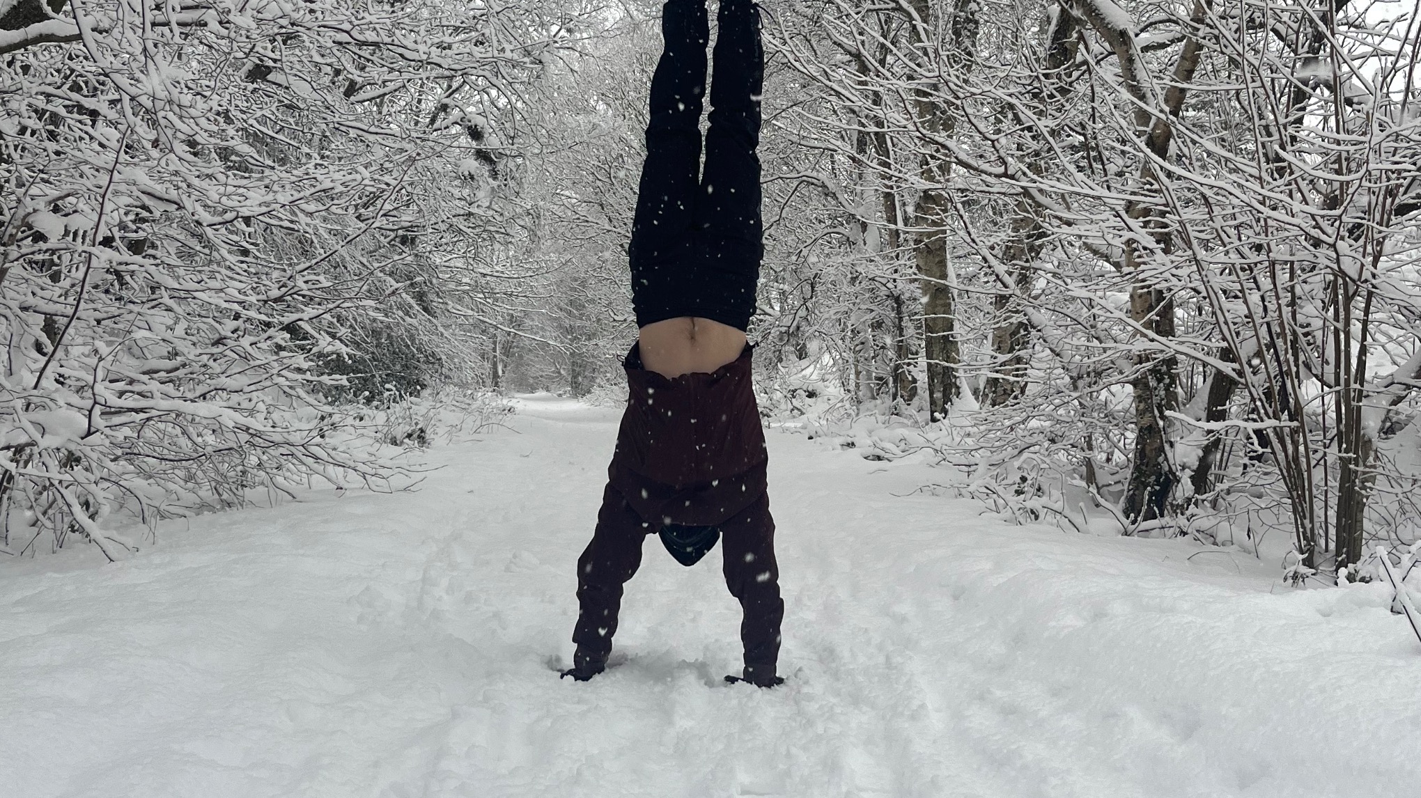 Handstand Course: Part 2