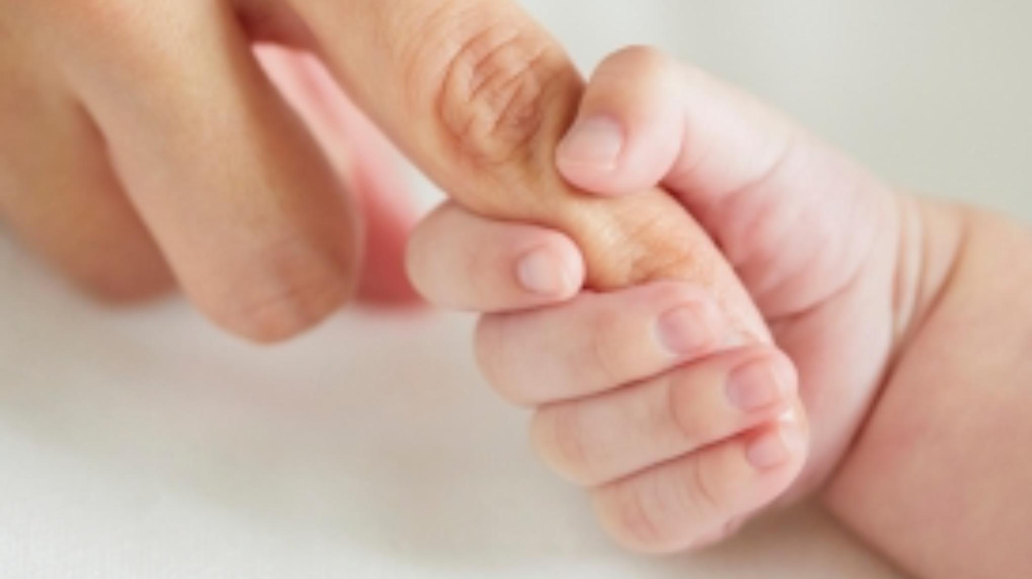 Workshop 'Infant and Parent Brain Development'