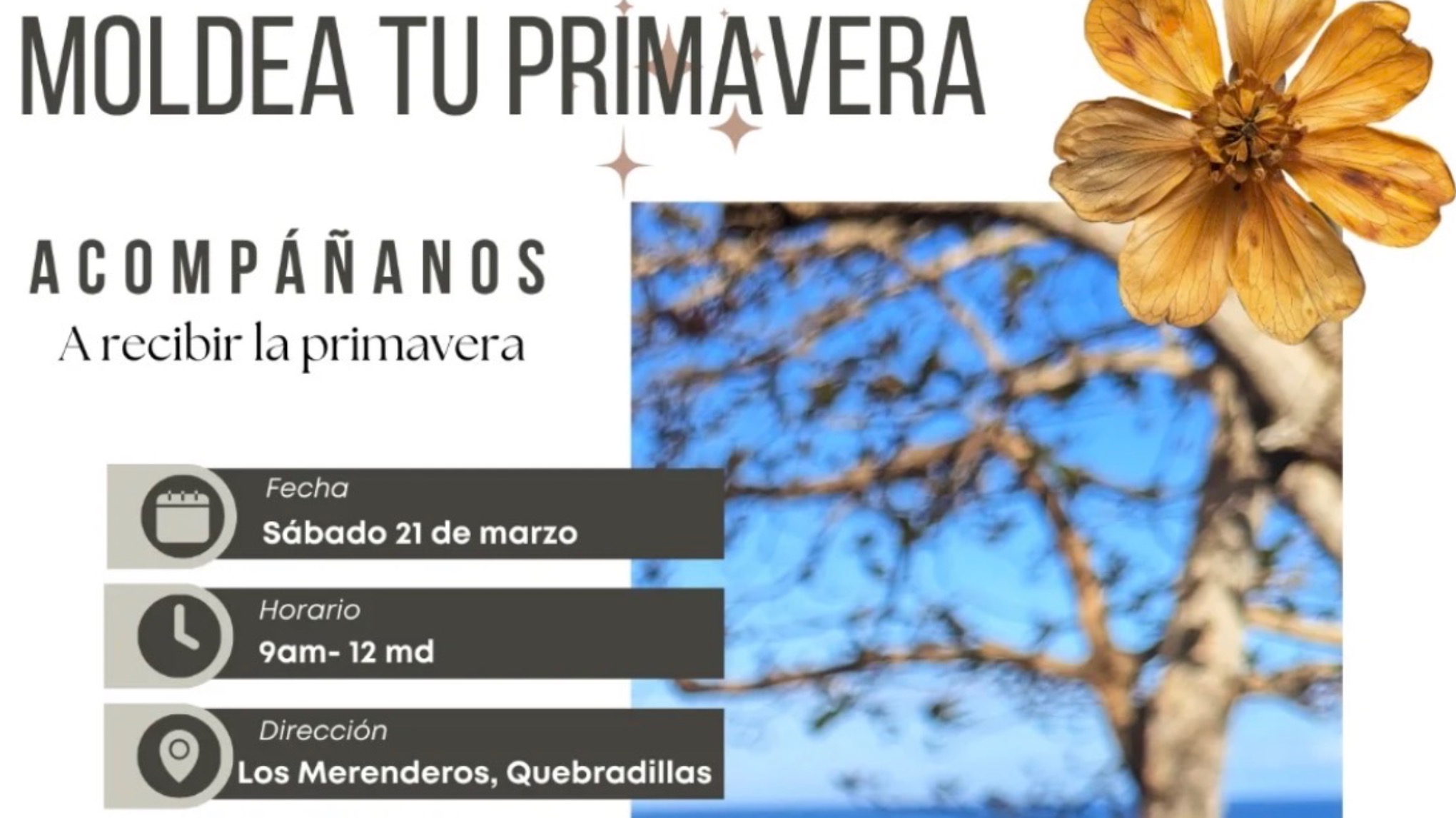 Moldea tu Primavera