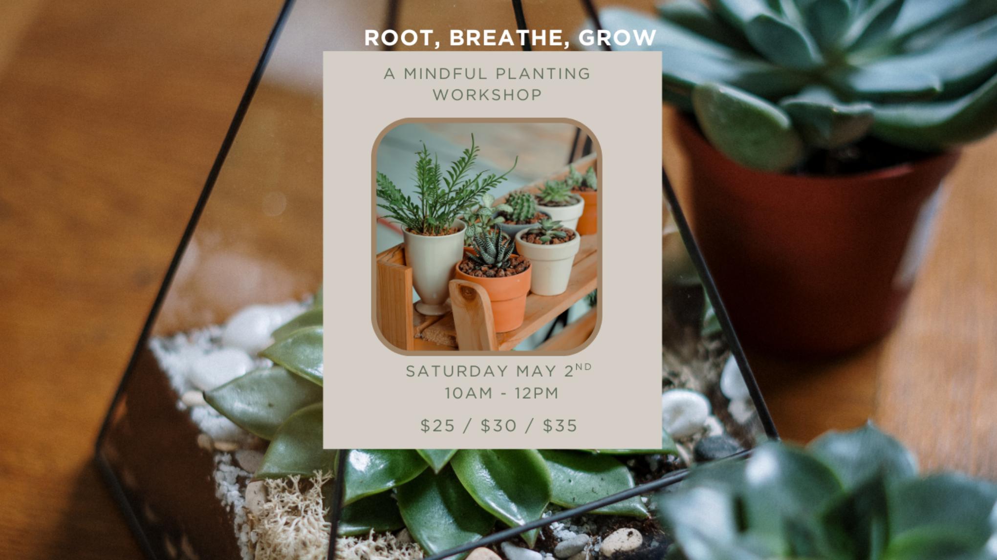 Root, Breathe, Grow: A Mindful Planting Workshop