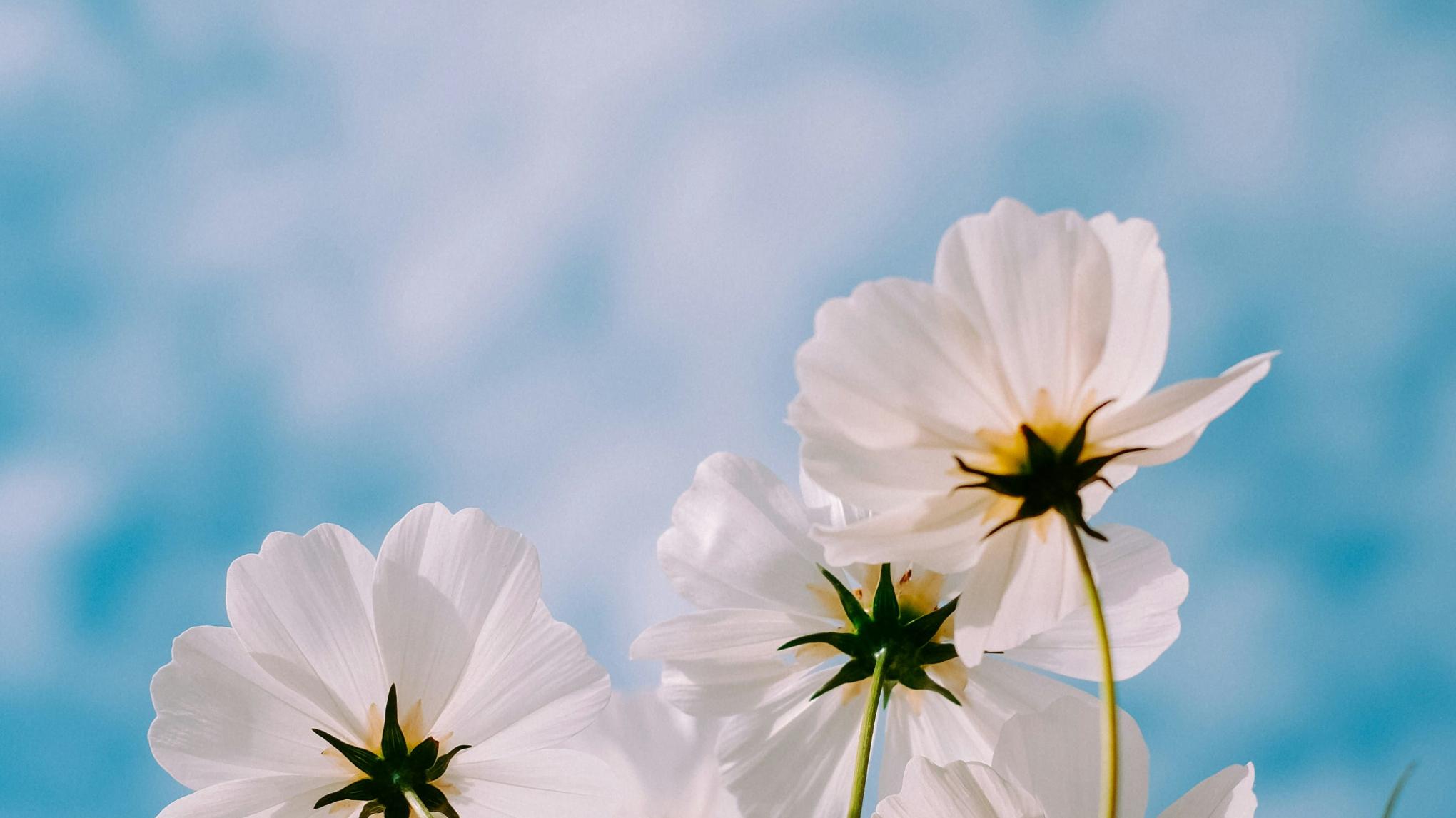 Mini-Retreat für Schwangere