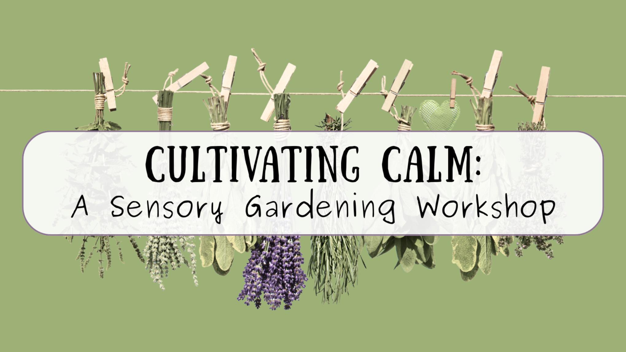Cultivating Calm: A Sensory Gardening Workshop