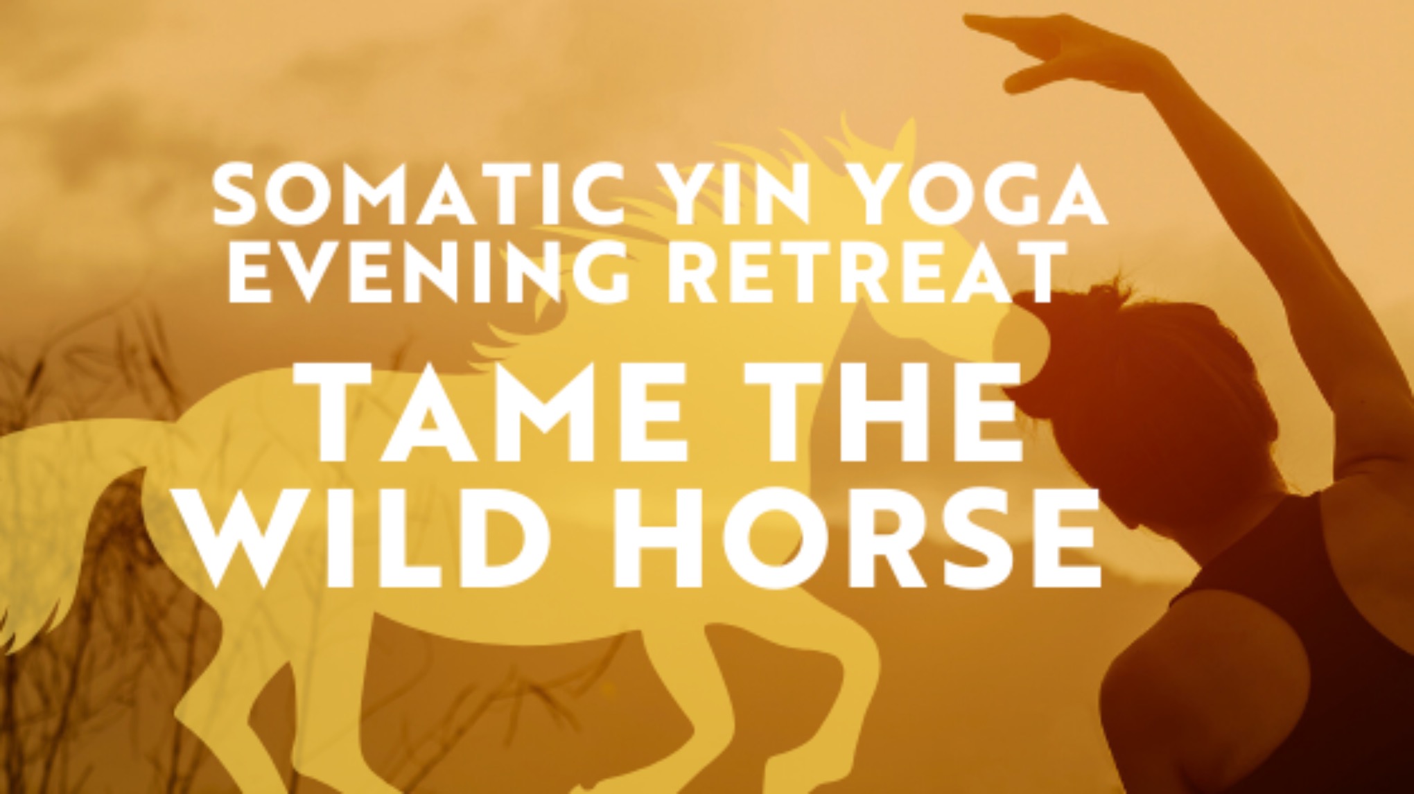 Somatic Yin Yoga, Meditation & Yoga Nidra: Taming the Wild Horse