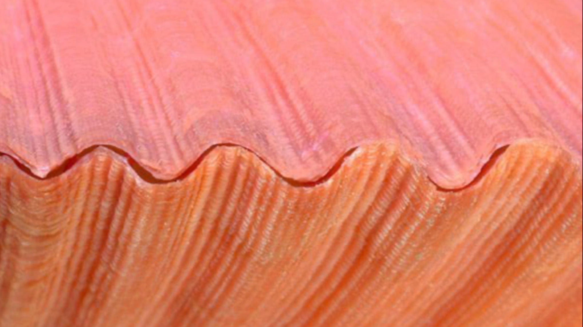 AW: Sip & Shake 🍑