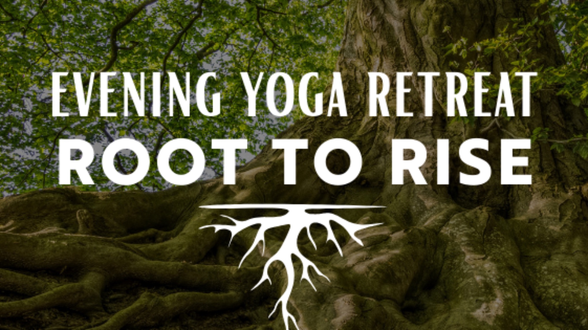 Root to Rise / restorative yin yoga and Nidra night