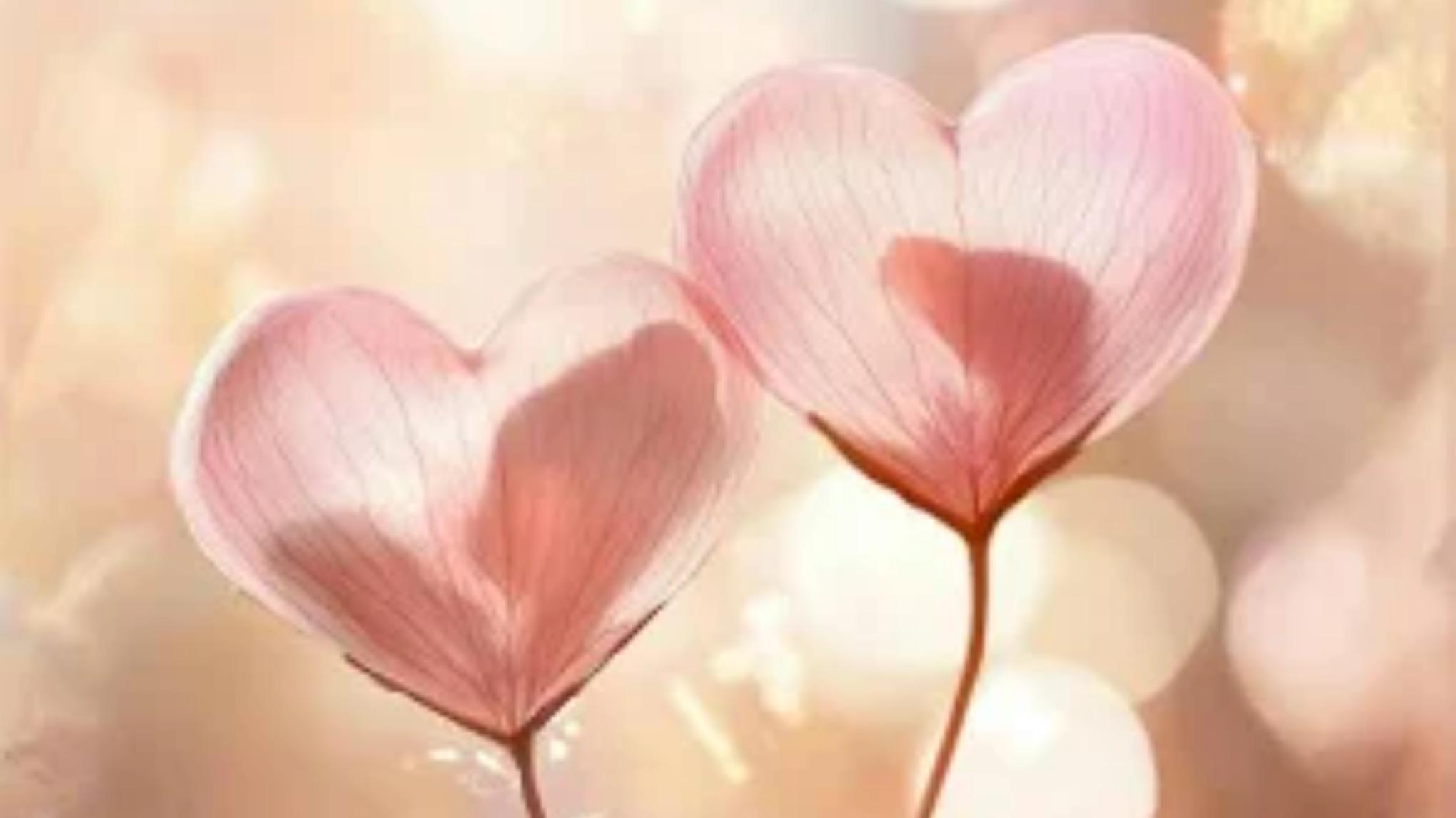 Zomer Restorative – Nervous System Reset