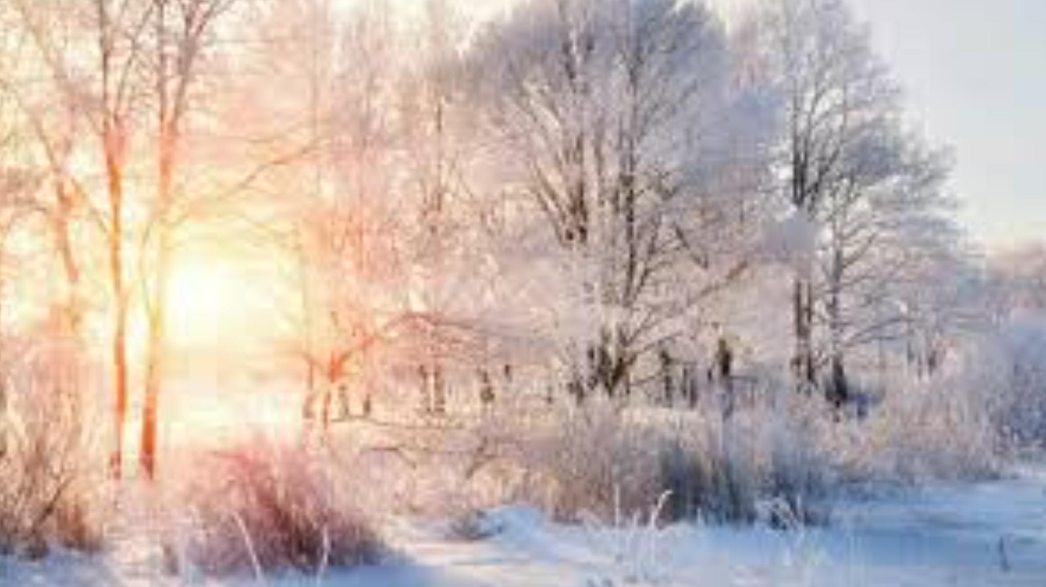 Winter Voorbereiding – Restorative & Yoga Nidra