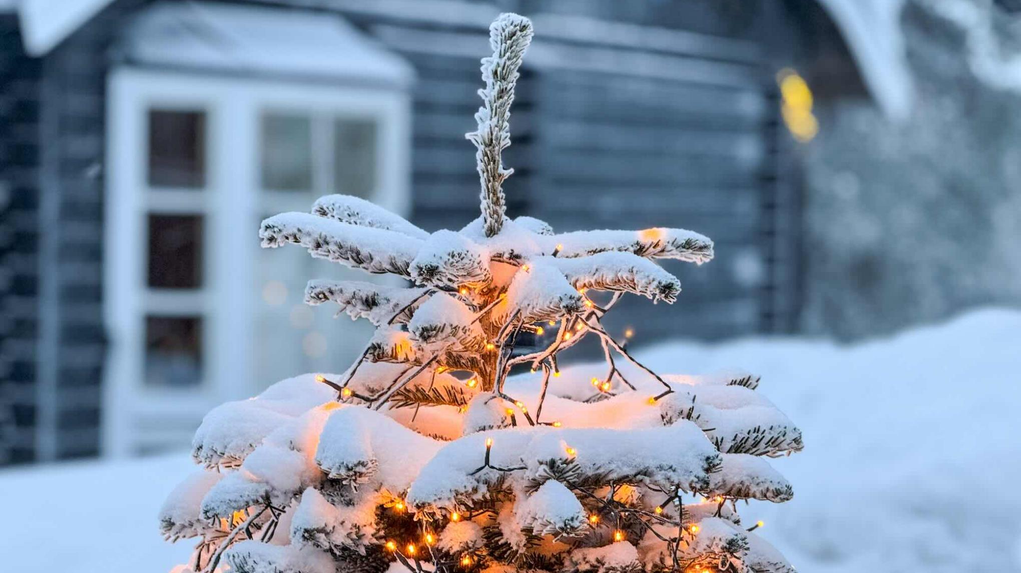 Feest van Rust – Kerst Yin & Klank