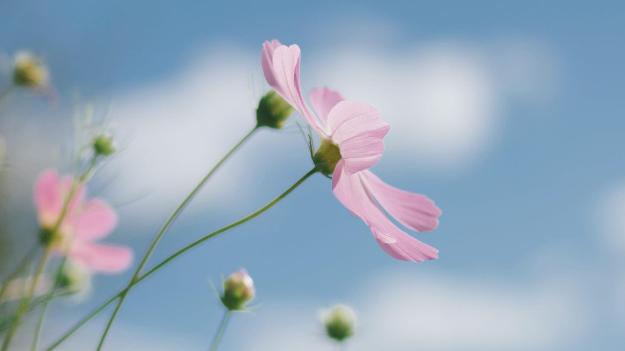 Alumni Tages-Retreat Juli 2026 // Frühbucherpreis