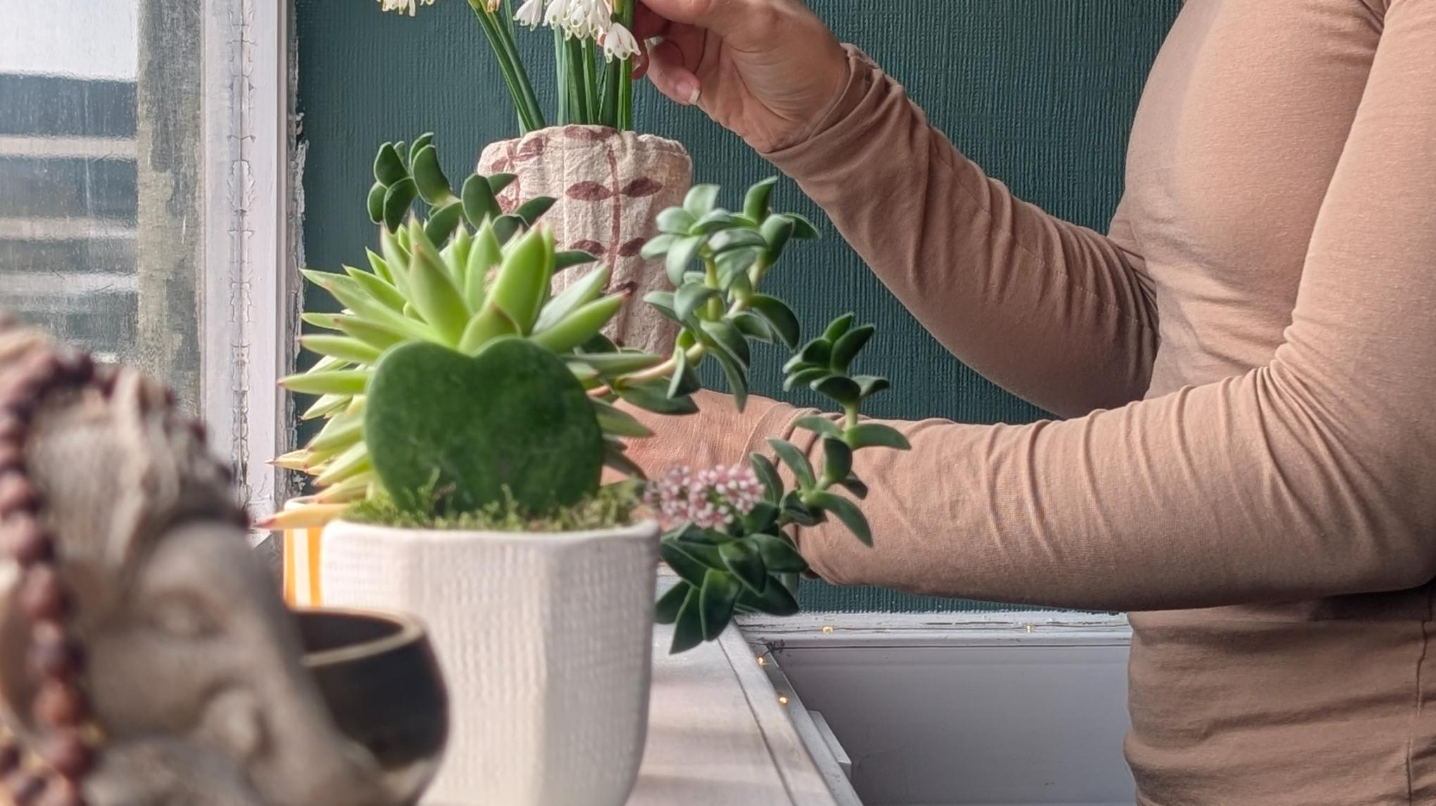 Somatic Yoga | Reset Your Nervous System - WILL BE RESCHEDULED