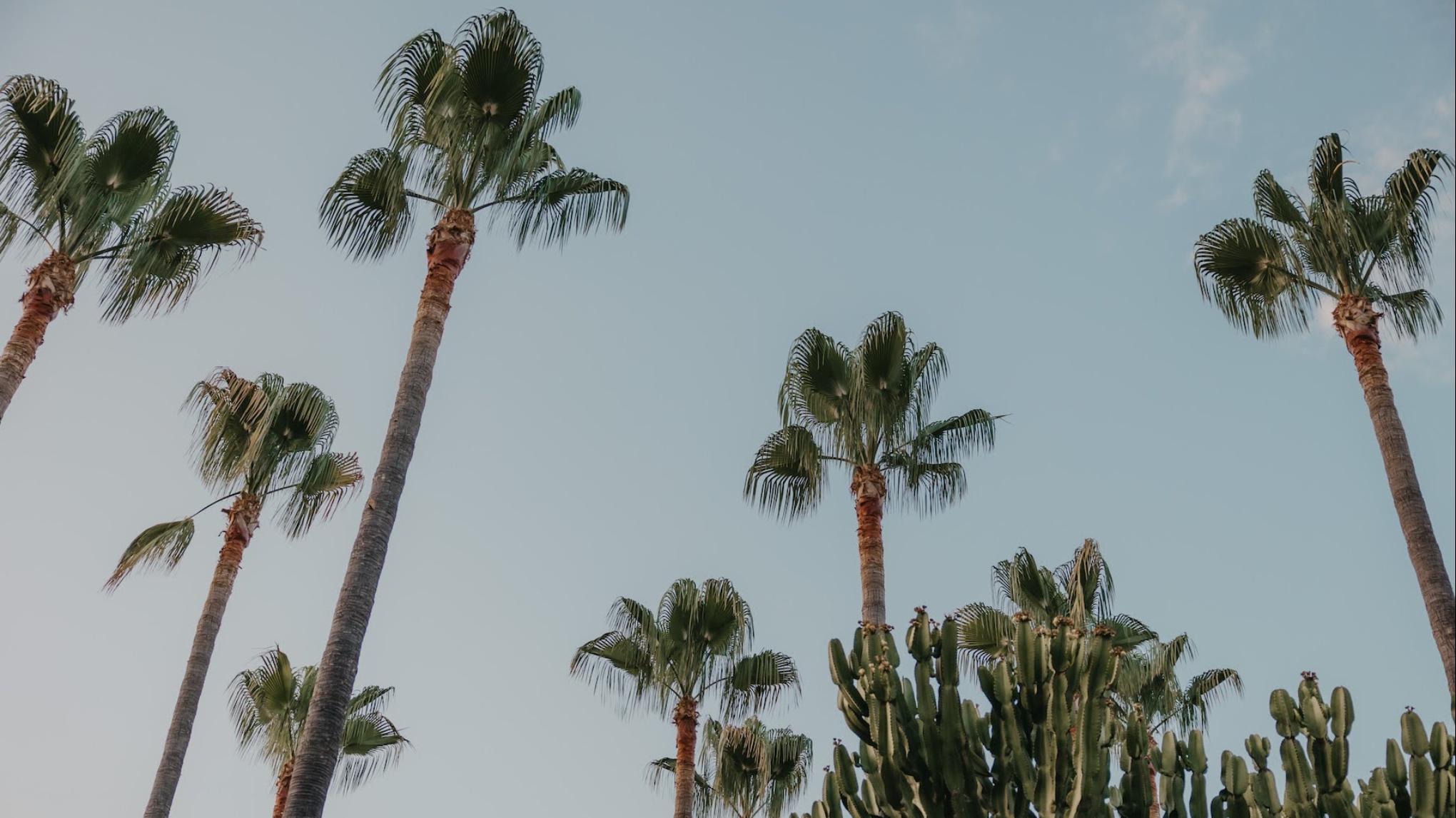 Island Immersion Retreat, Mallorca