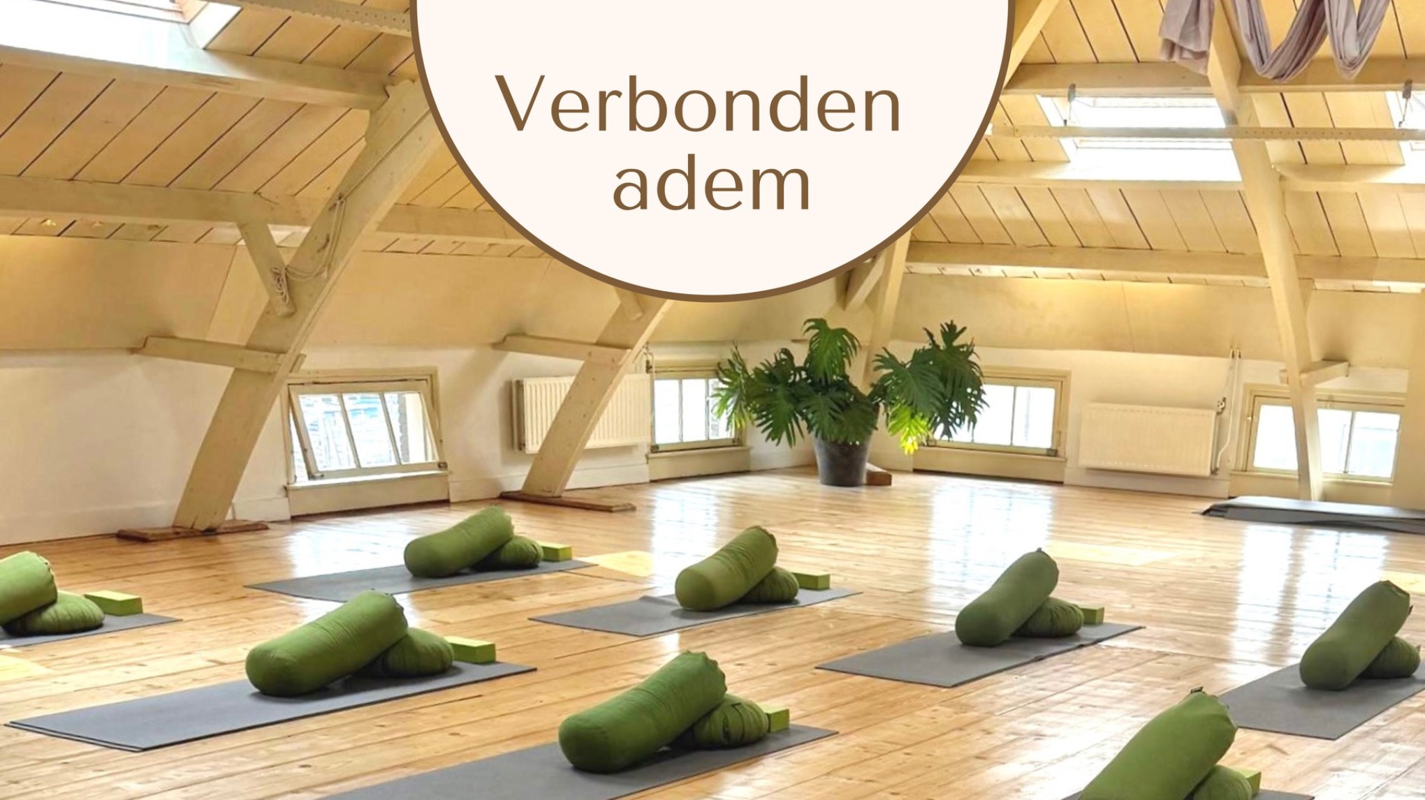 Verbonden Adem | Ontdek jouw ruimte in het lichaam