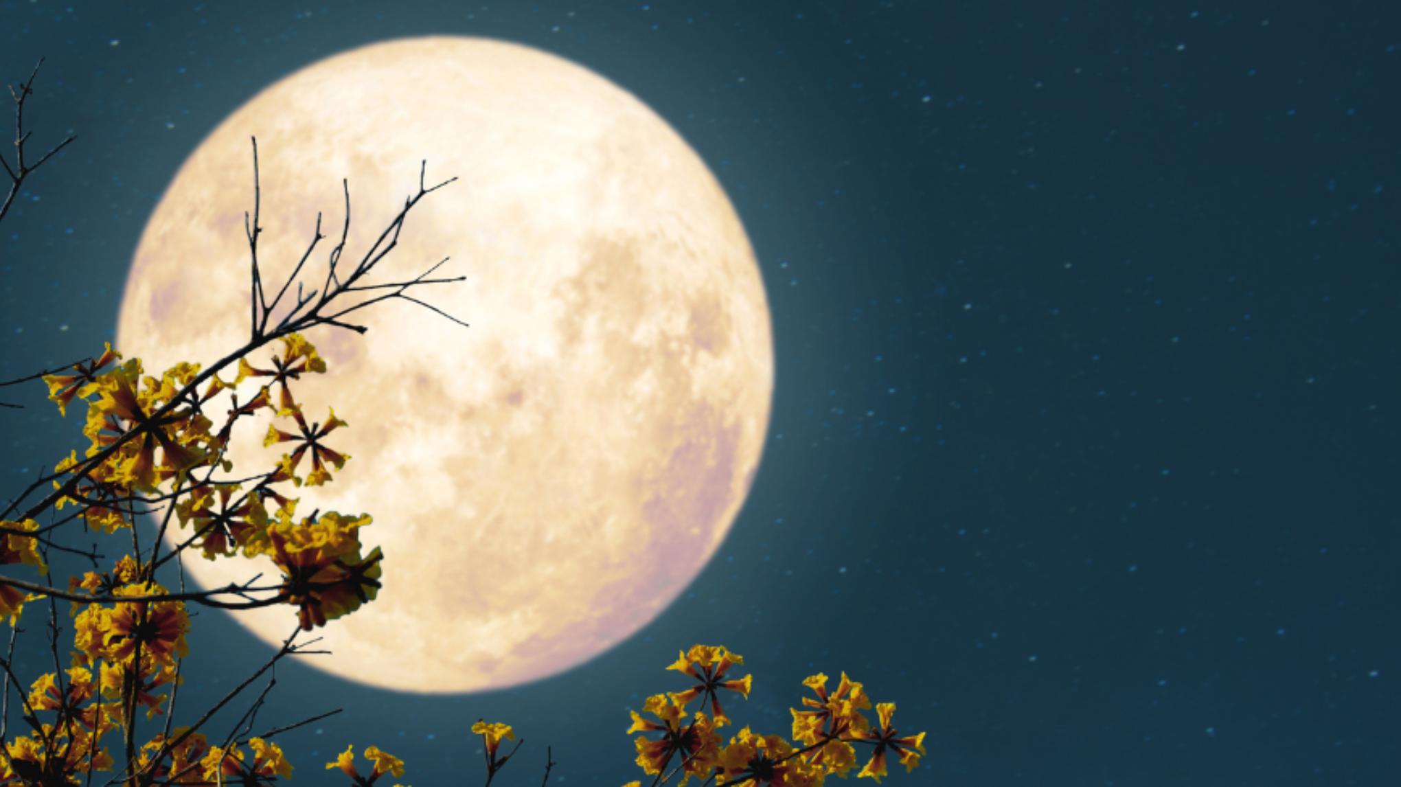 Full moon Yin Nidra & Klankschalen