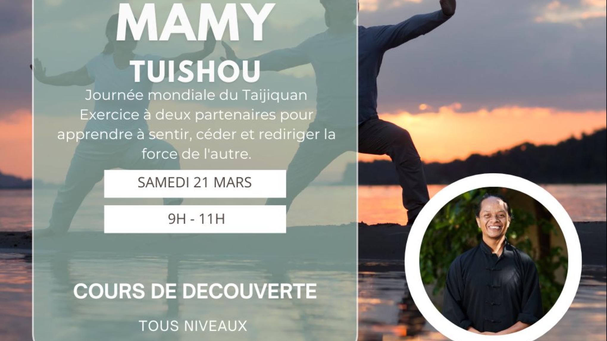 Découverte du Tuishou