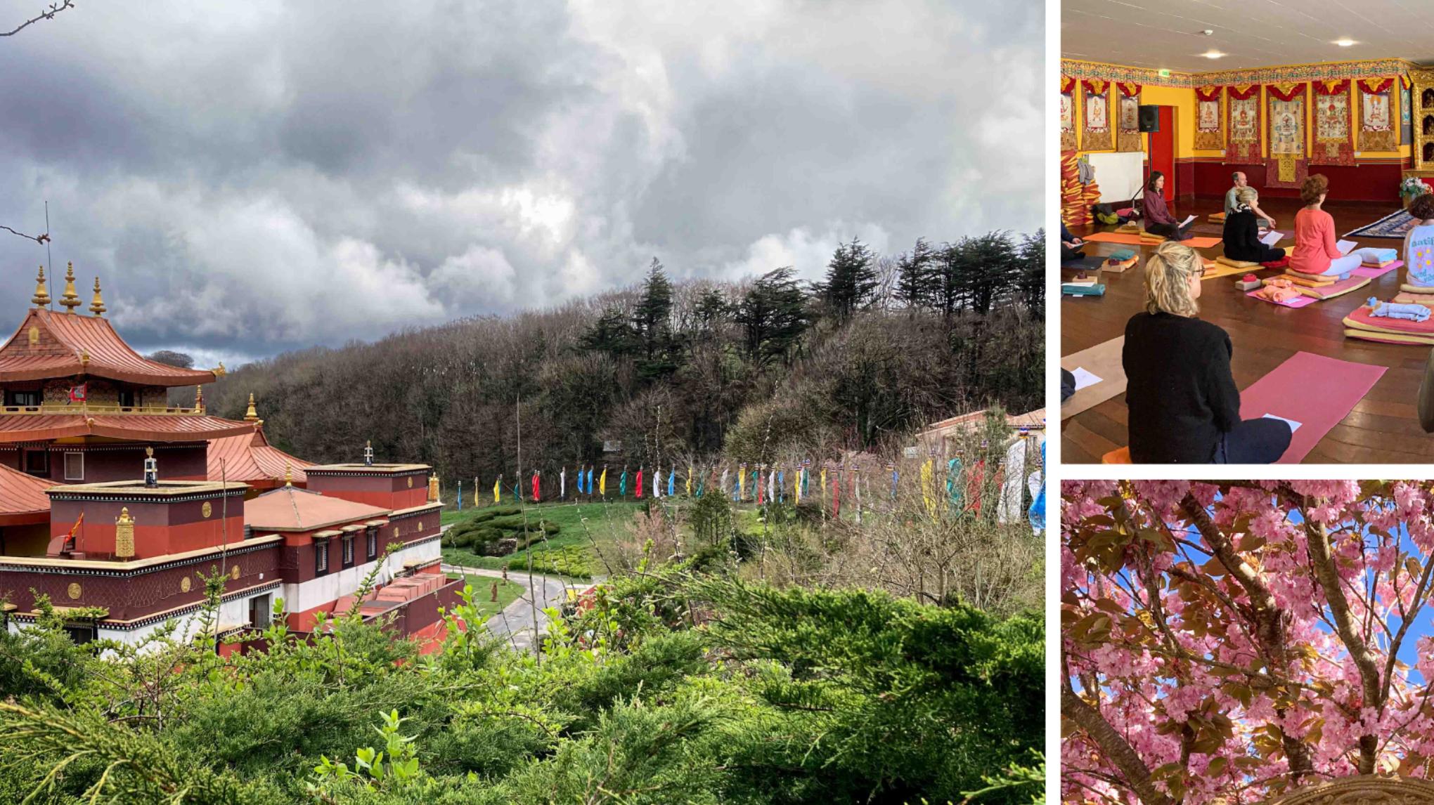 Retraite de printemps - Méditation et yoga