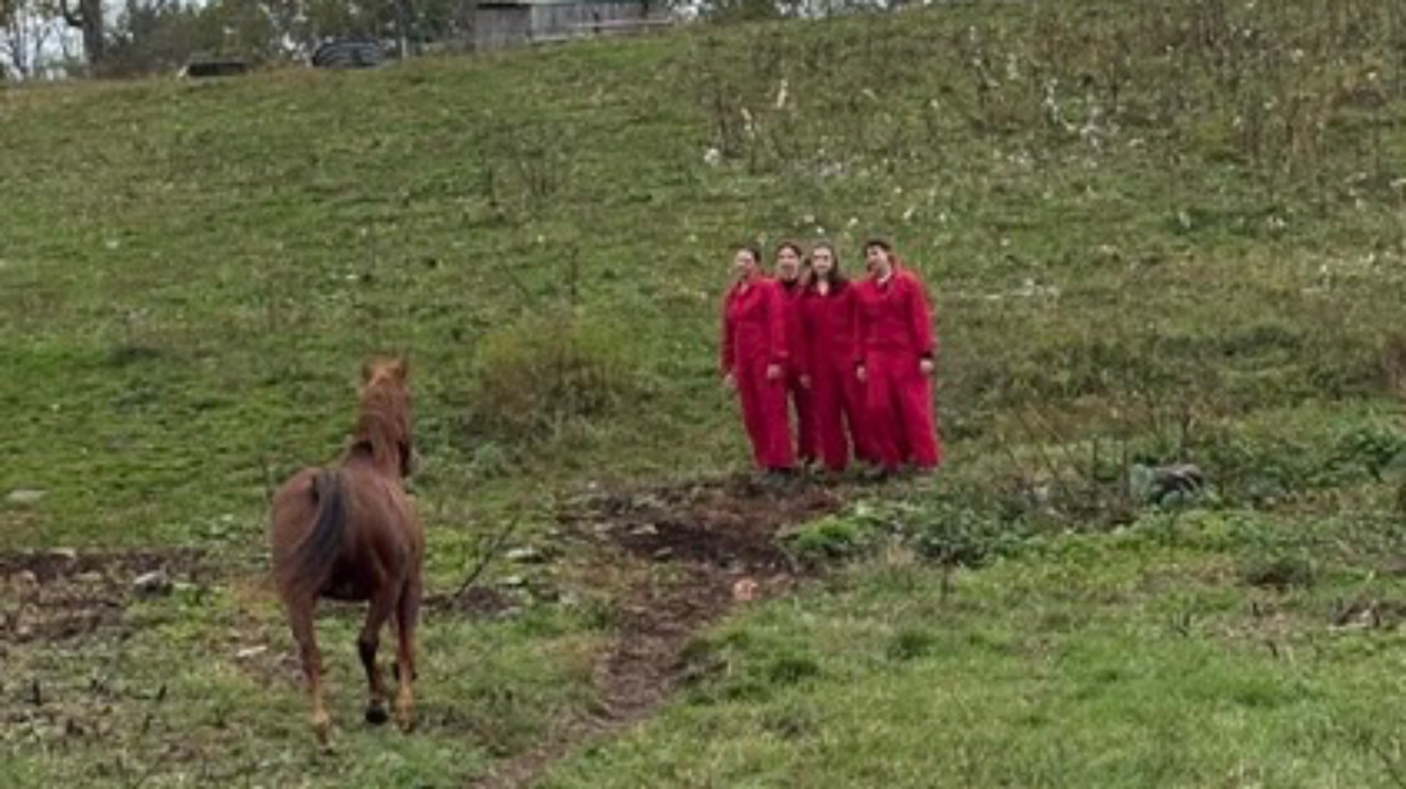 THE EQUUS PROJECTS Interspecies Listening Sat 3/21 11-12