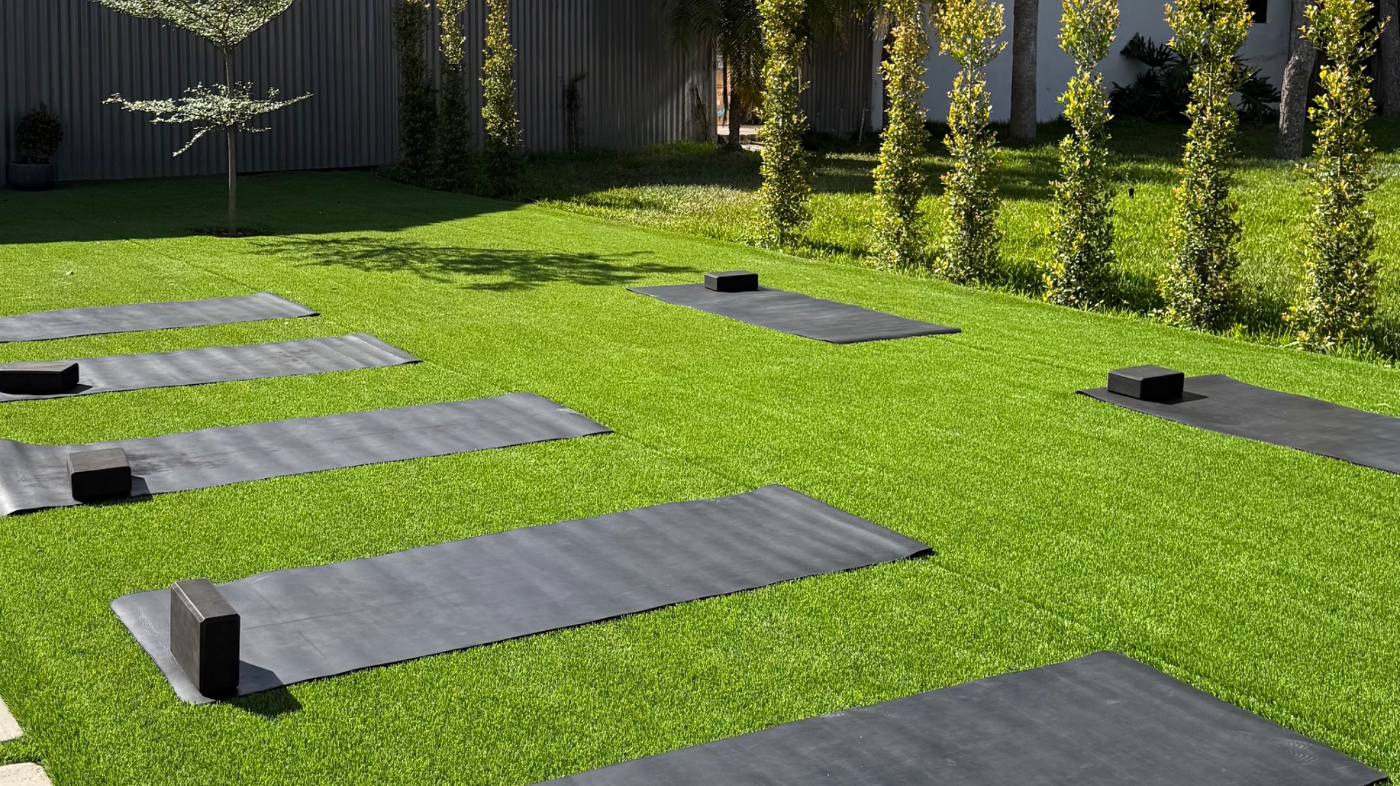 Summer Wellness Social