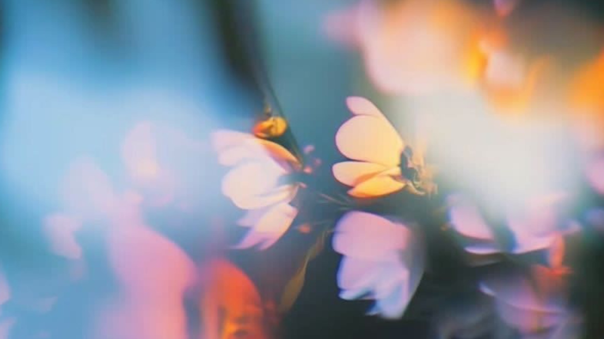 Atelier Sophrologie / Numérologie