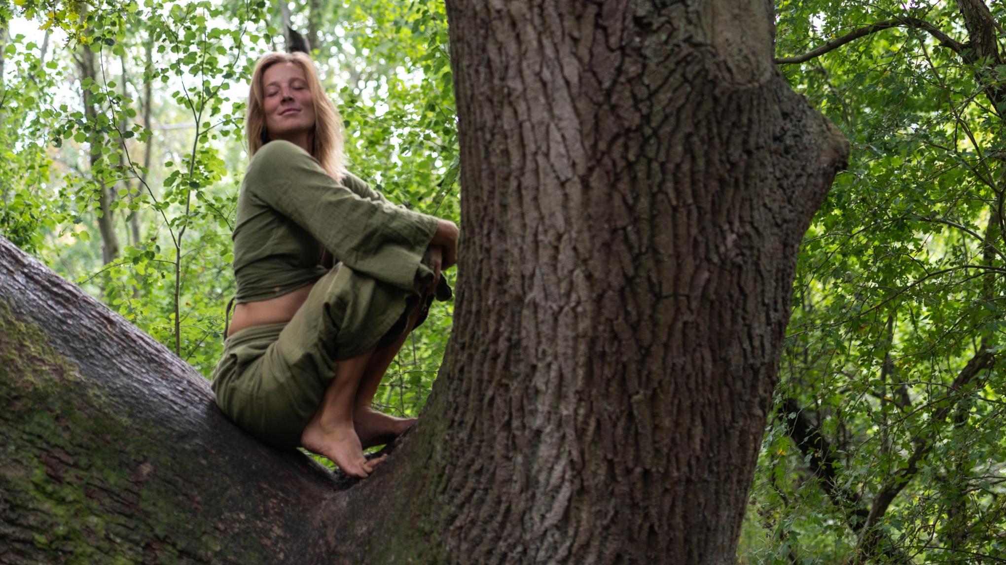 Journey through the Elements