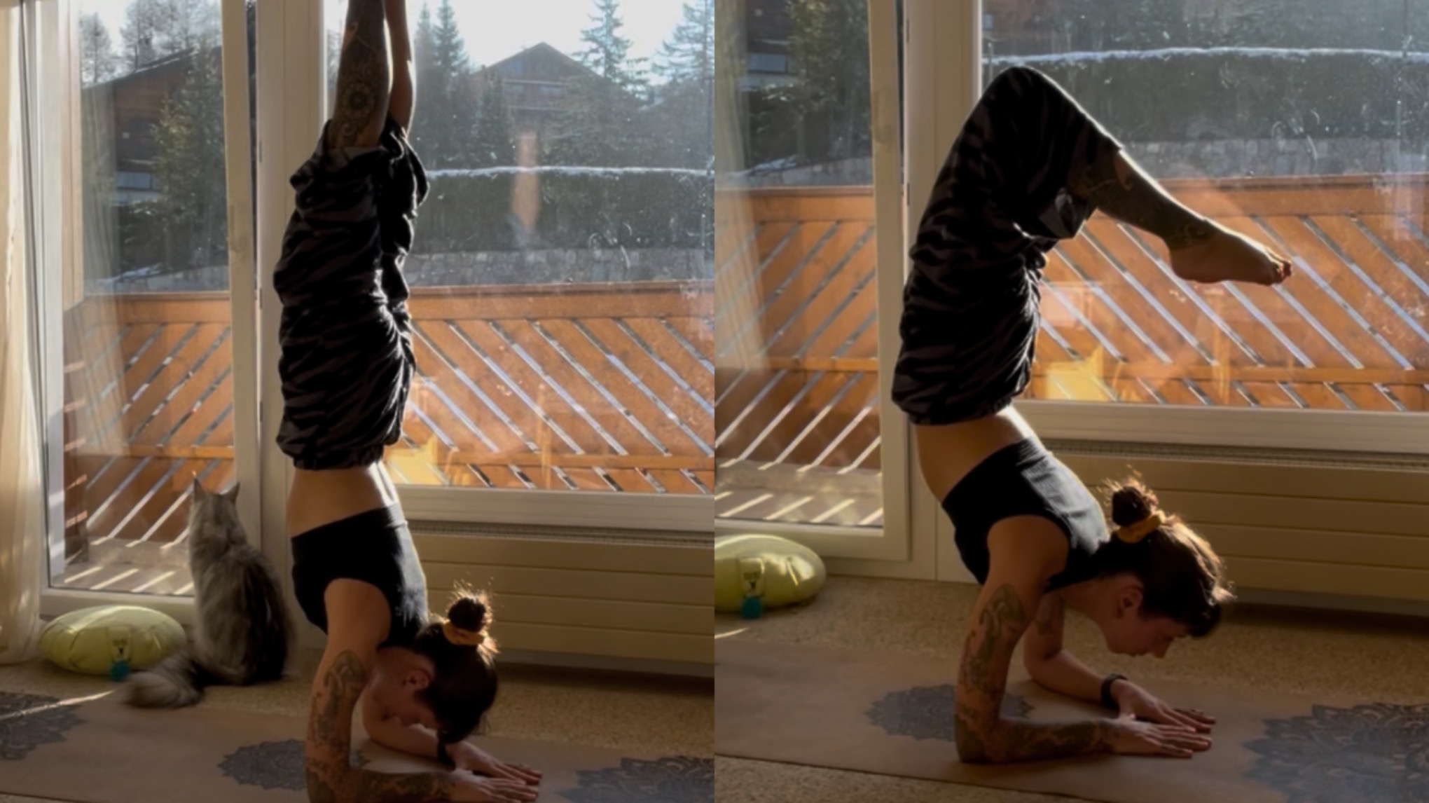 Workshop · Pīñcha Mayūrāsana & ses variantes