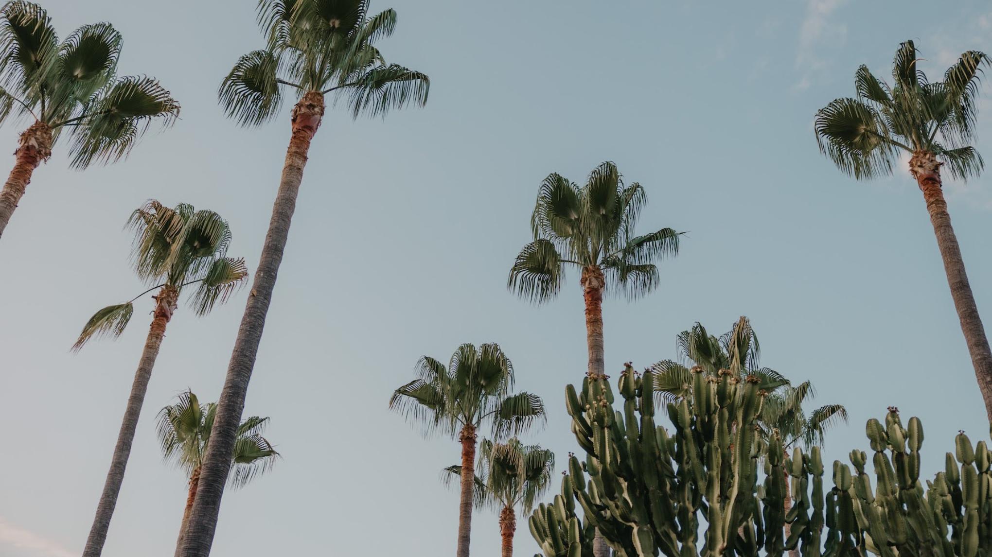 Island Immersion Retreat Mallorca April 20-24th