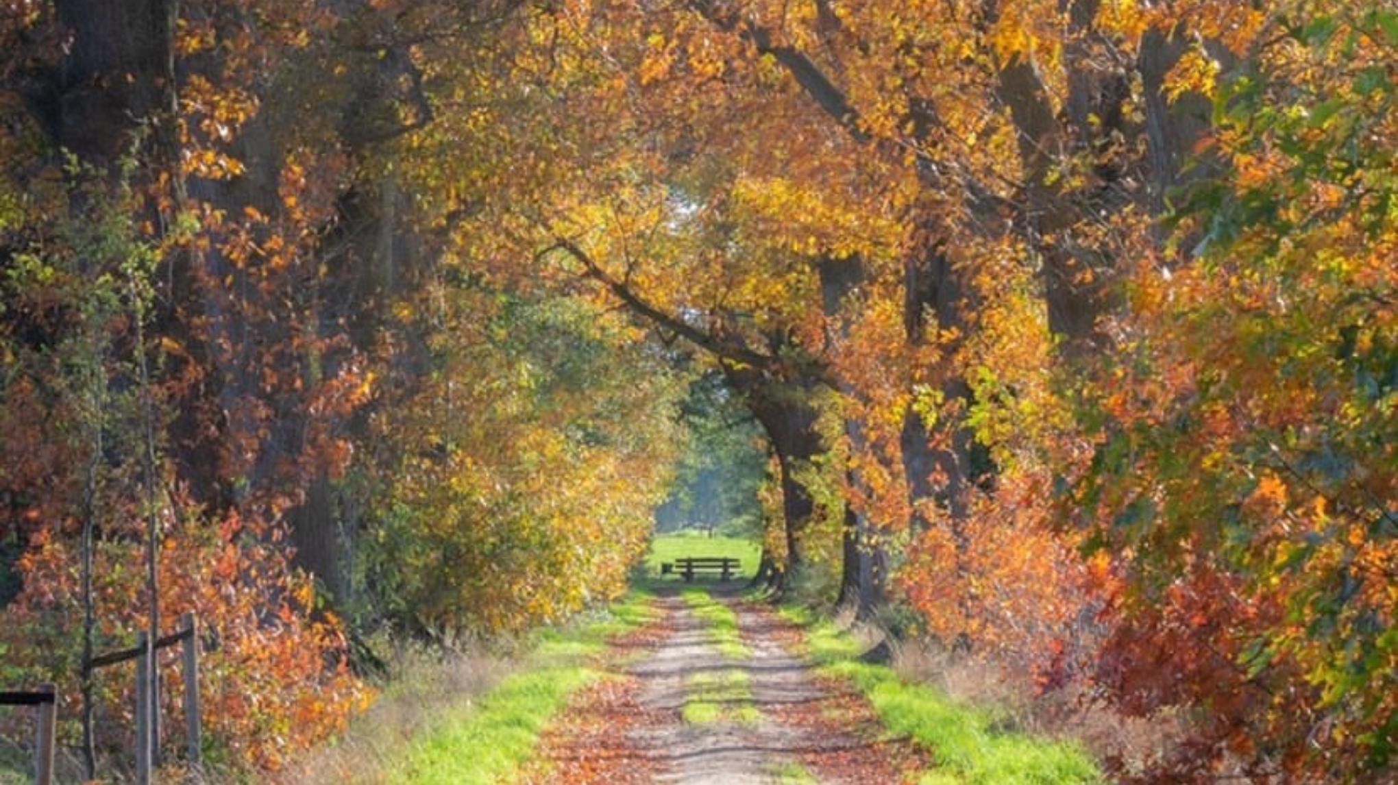 Terug naar jouw natuur - Seizoenssessie - Herfsteditie