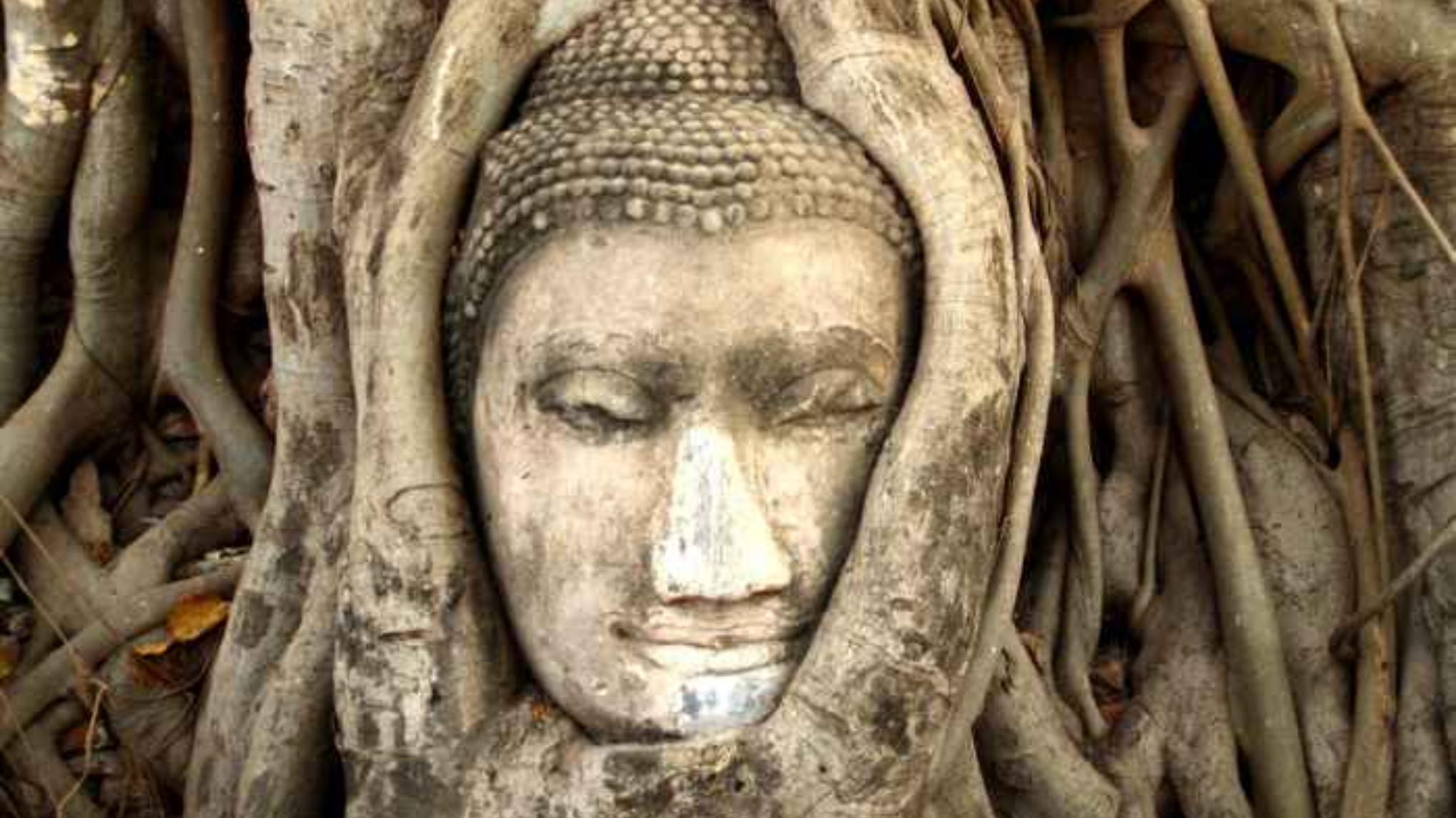MINDFULNESS | stiltedag
