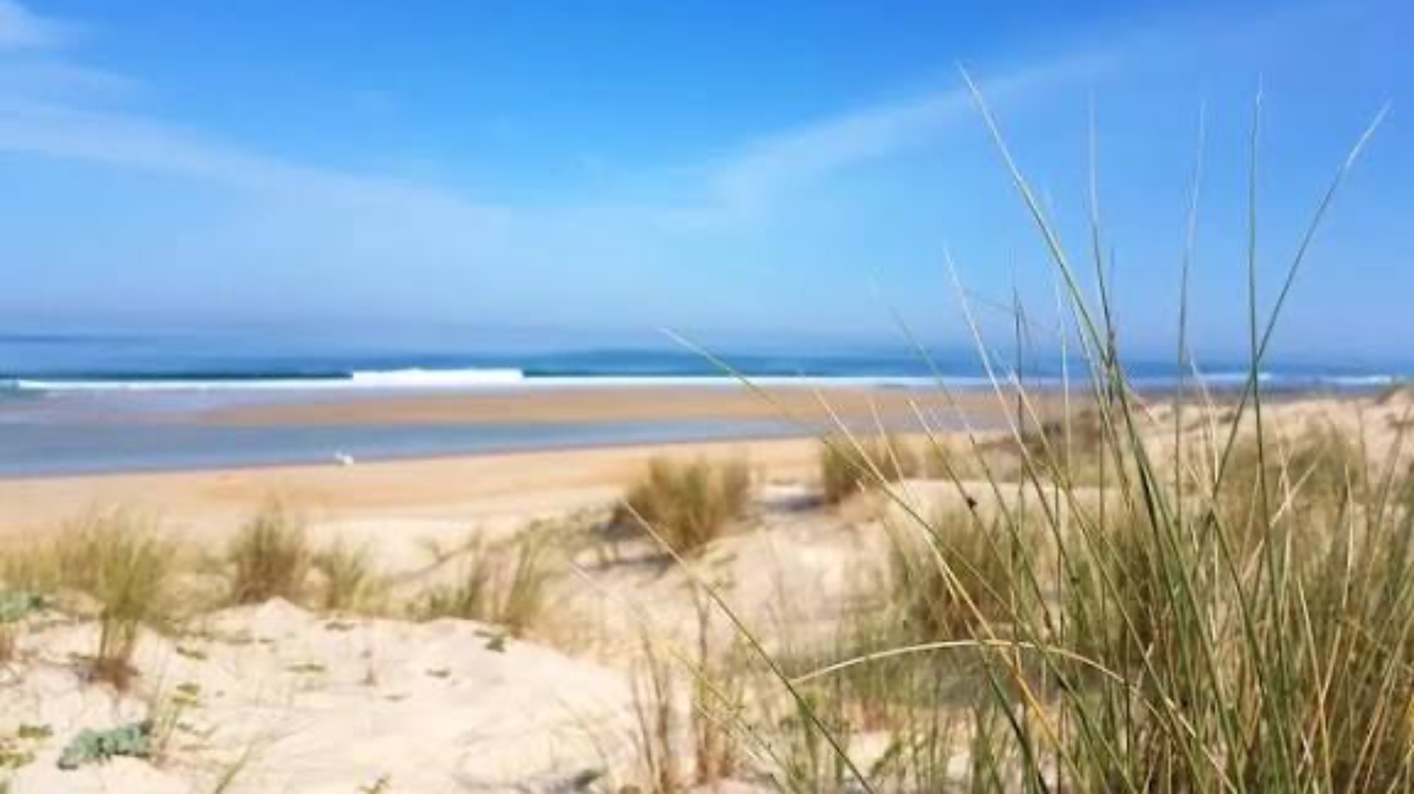 MATINÉE RÉGÉNÉRANTE DANS LES LANDES