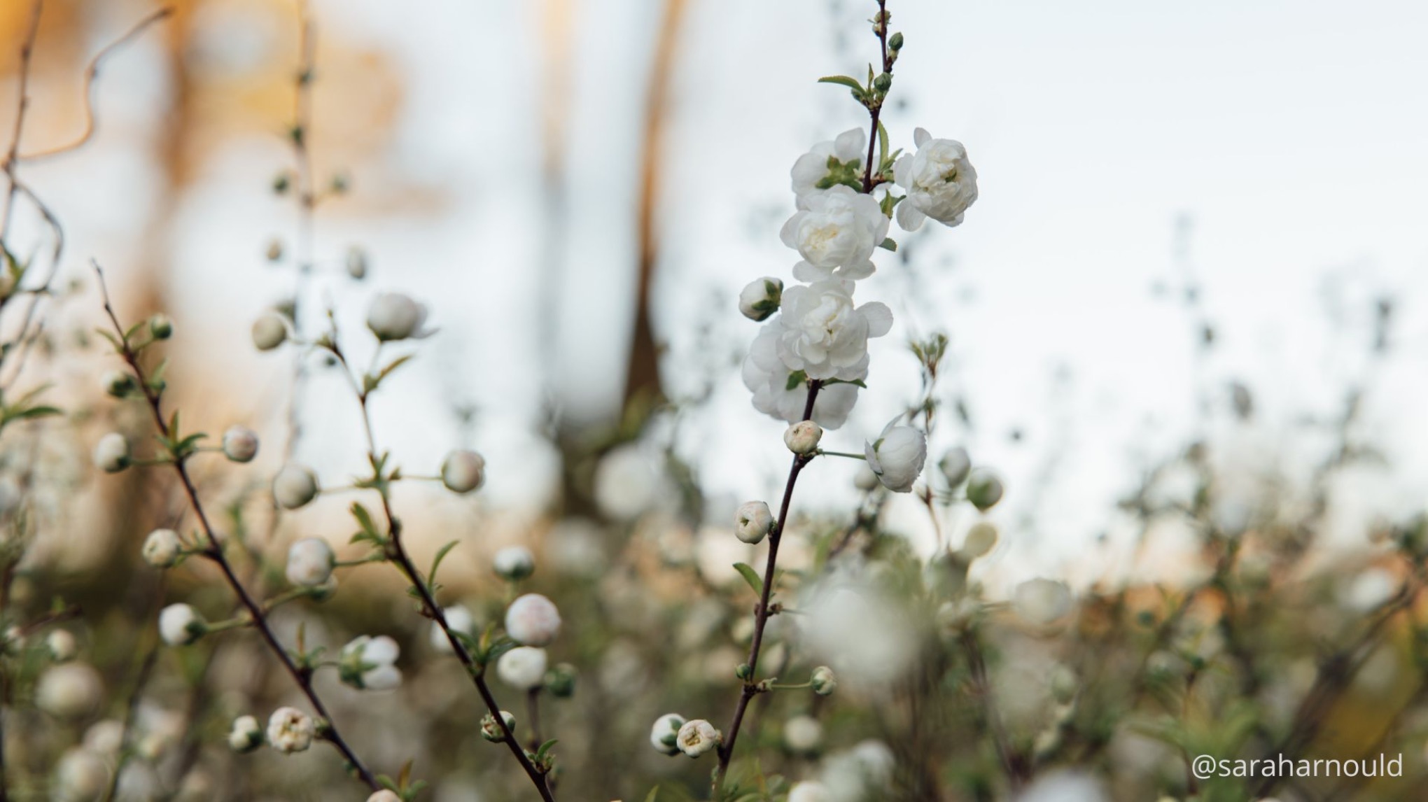 MATINÉE YOGA & MUNZ FLOOR®