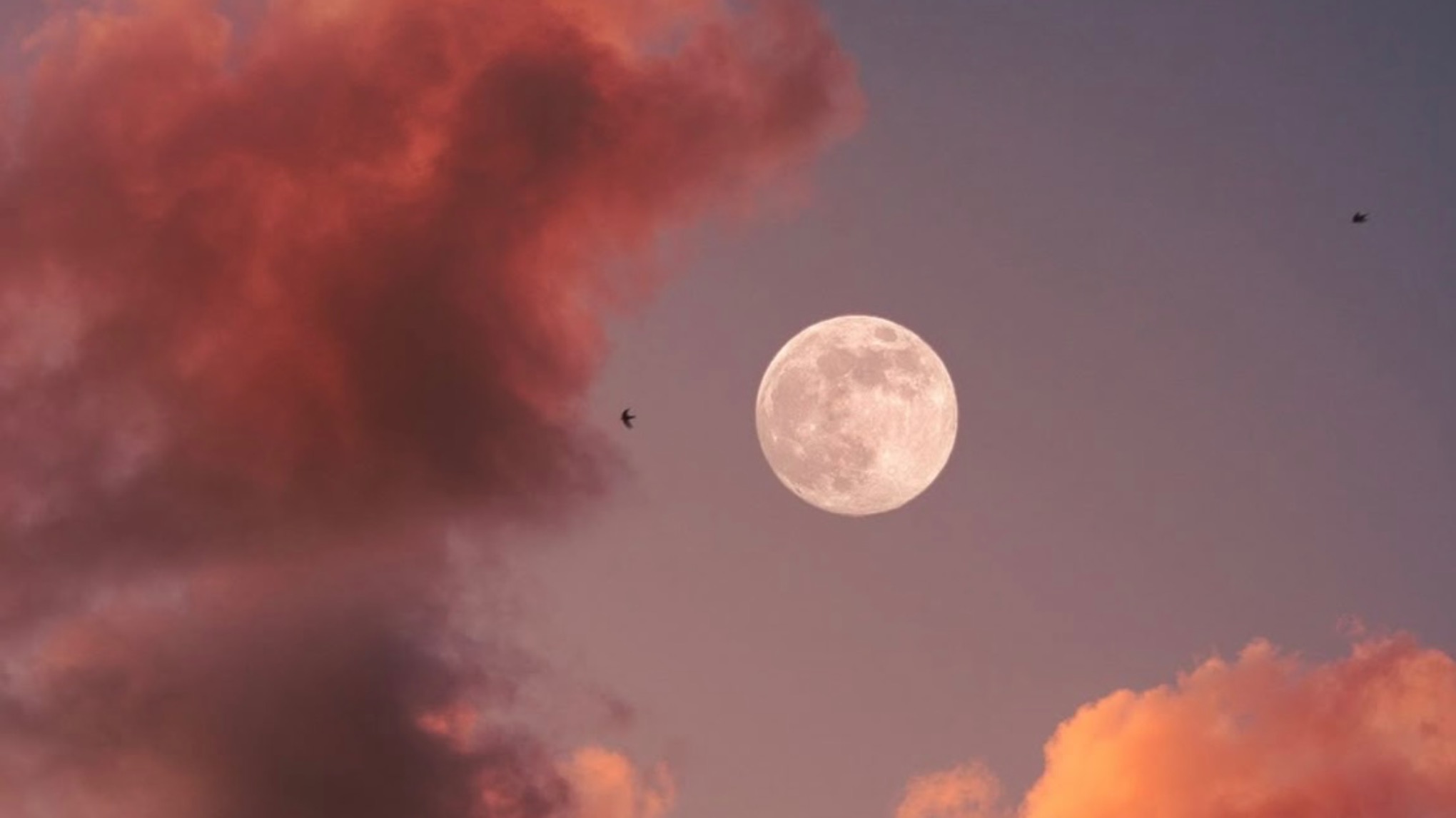 ✨FULL MOON ~ Sound Healing🌕