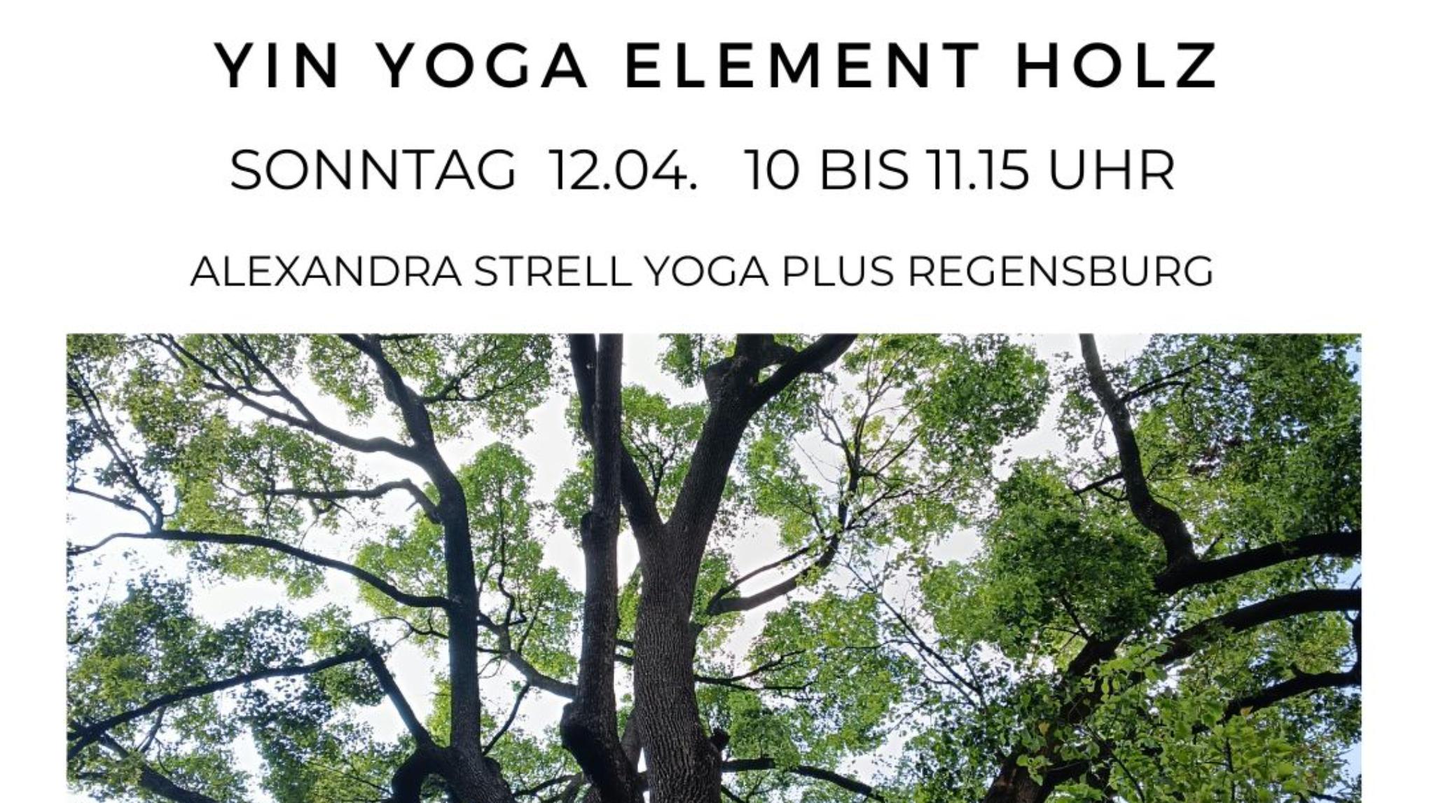 Yin Yoga Element Holz