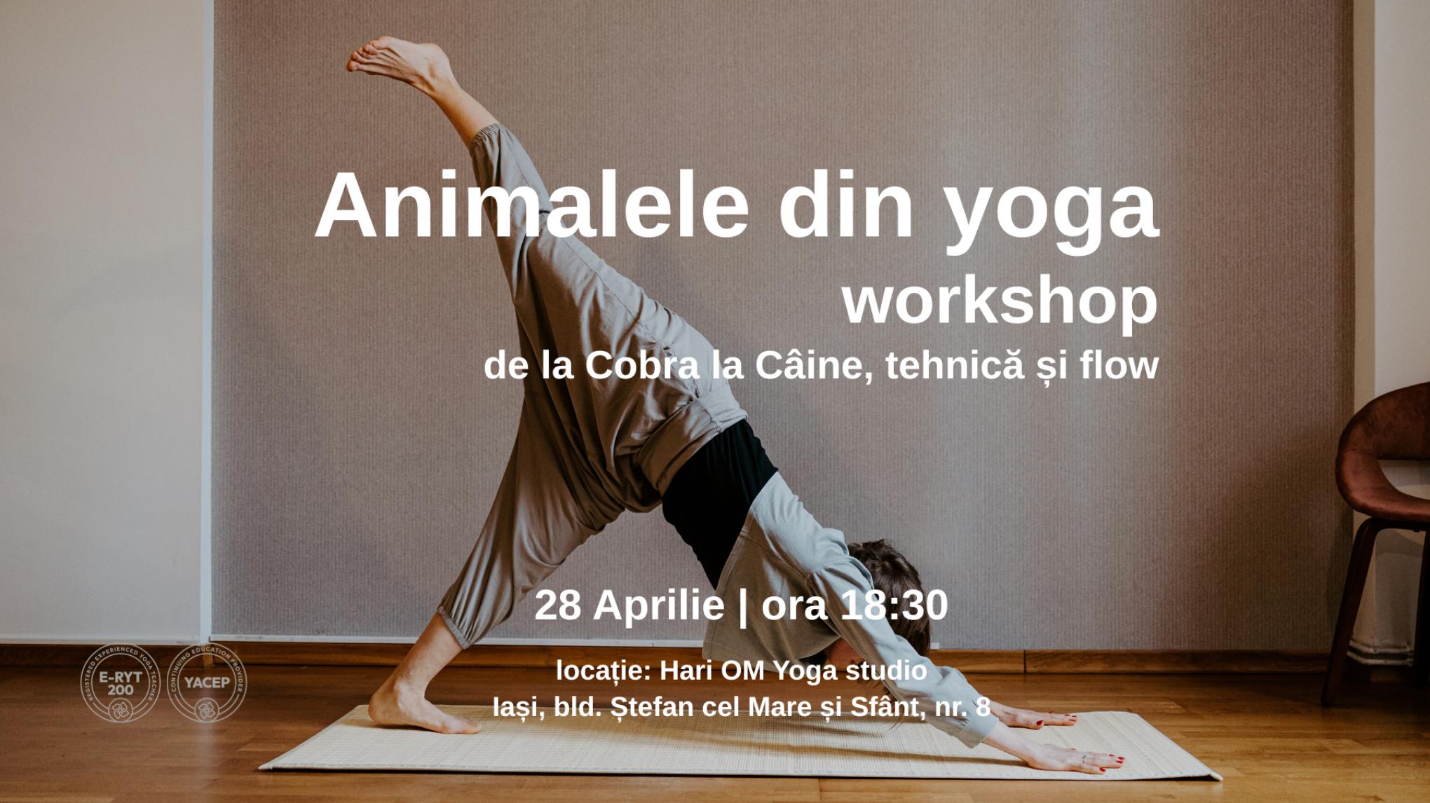 Workshop: Animalele din yoga - de la Cobra la Caine, tehnica si flow