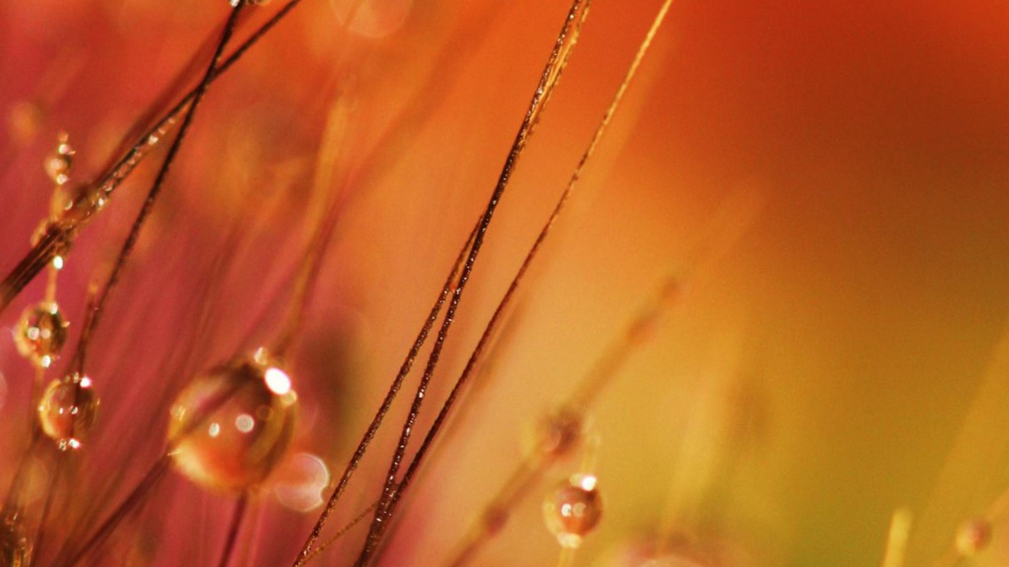 Special Restorative Yoga en lange eindontspanning met klankschalen