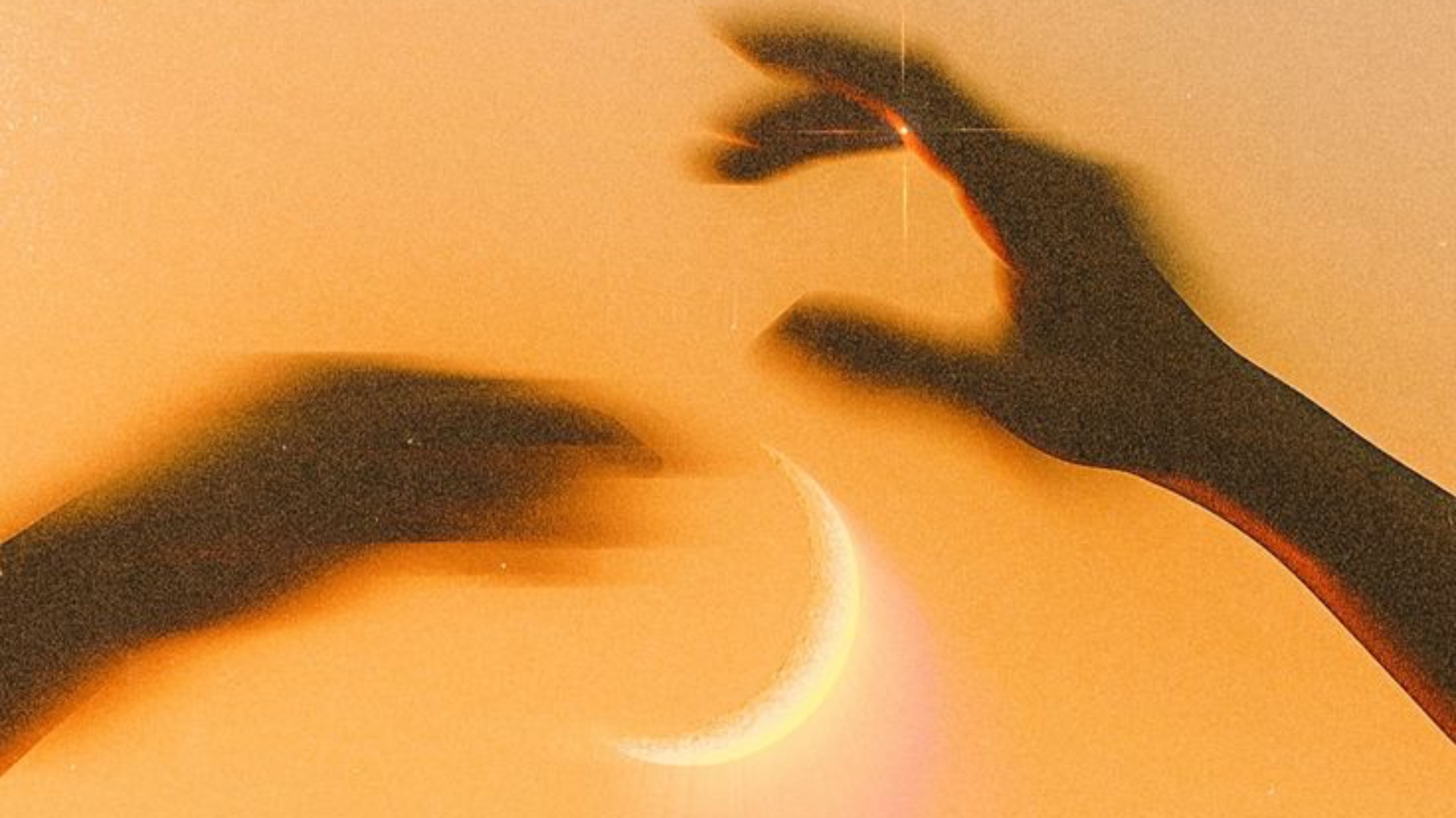 Atelier Mobilité & Yin avec Margot 🌼 Émerveillement